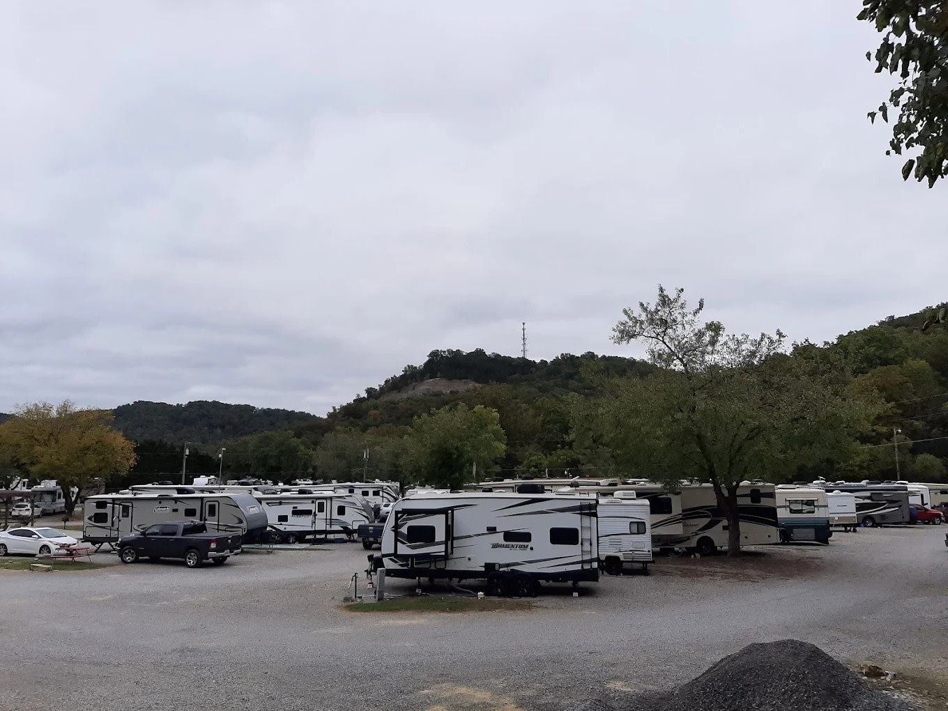 Raccoon Valley at Volunteer Park