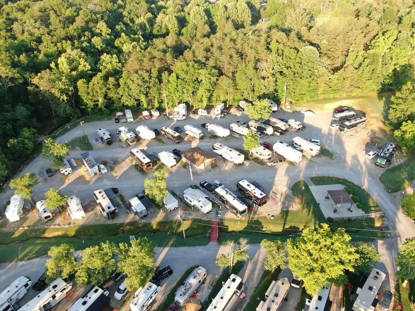 Raccoon Valley at Volunteer Park