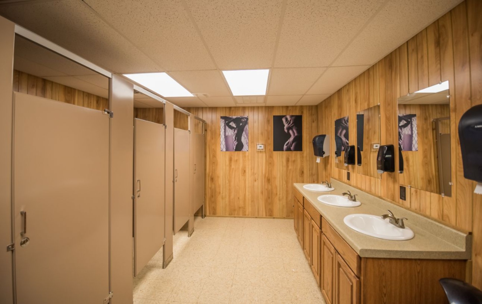 The Purple Peacock Co