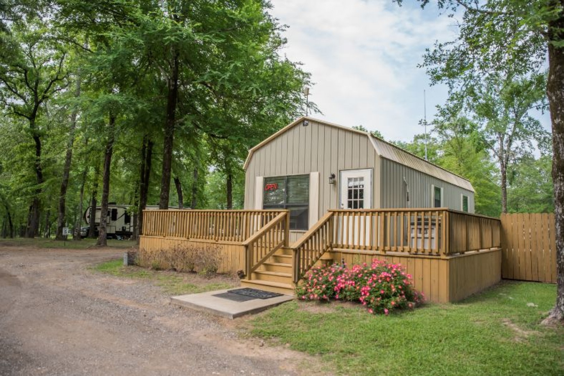 The Purple Peacock Co