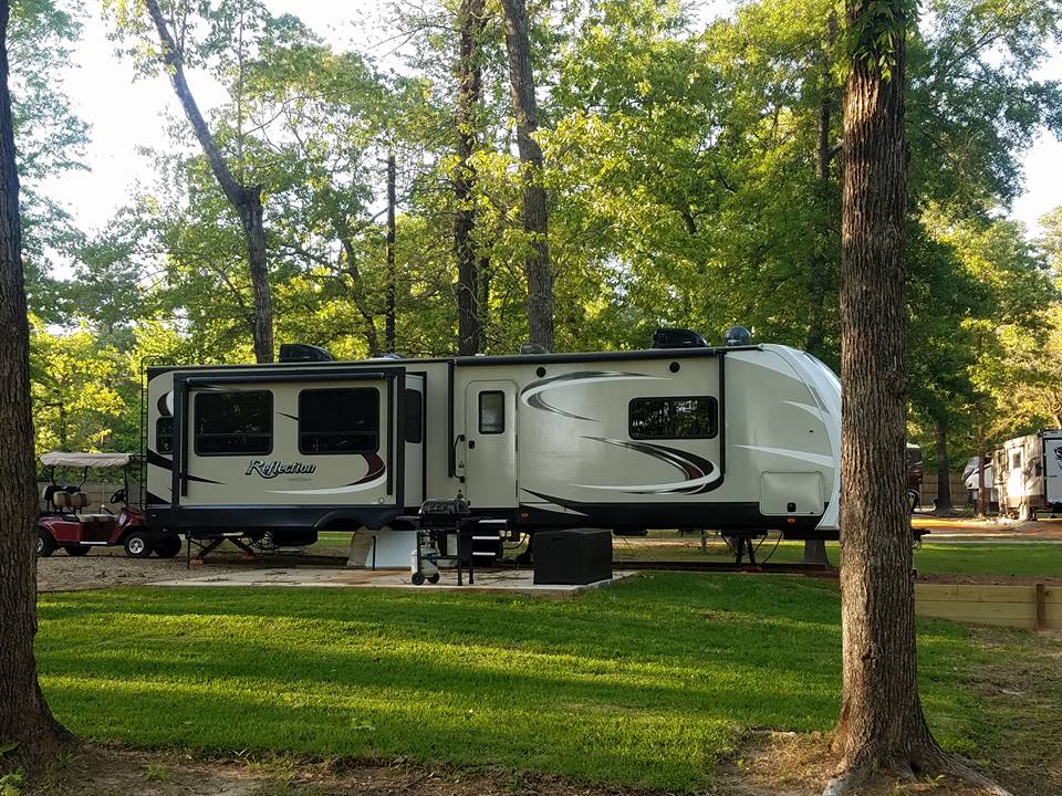 The Purple Peacock Co