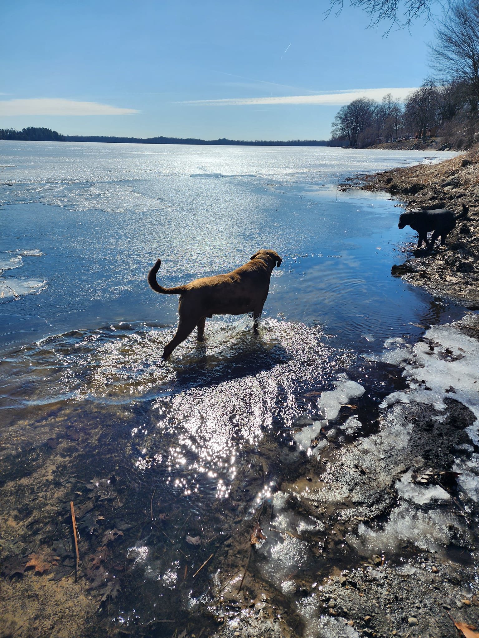McLear's Cottage Colony and Campground