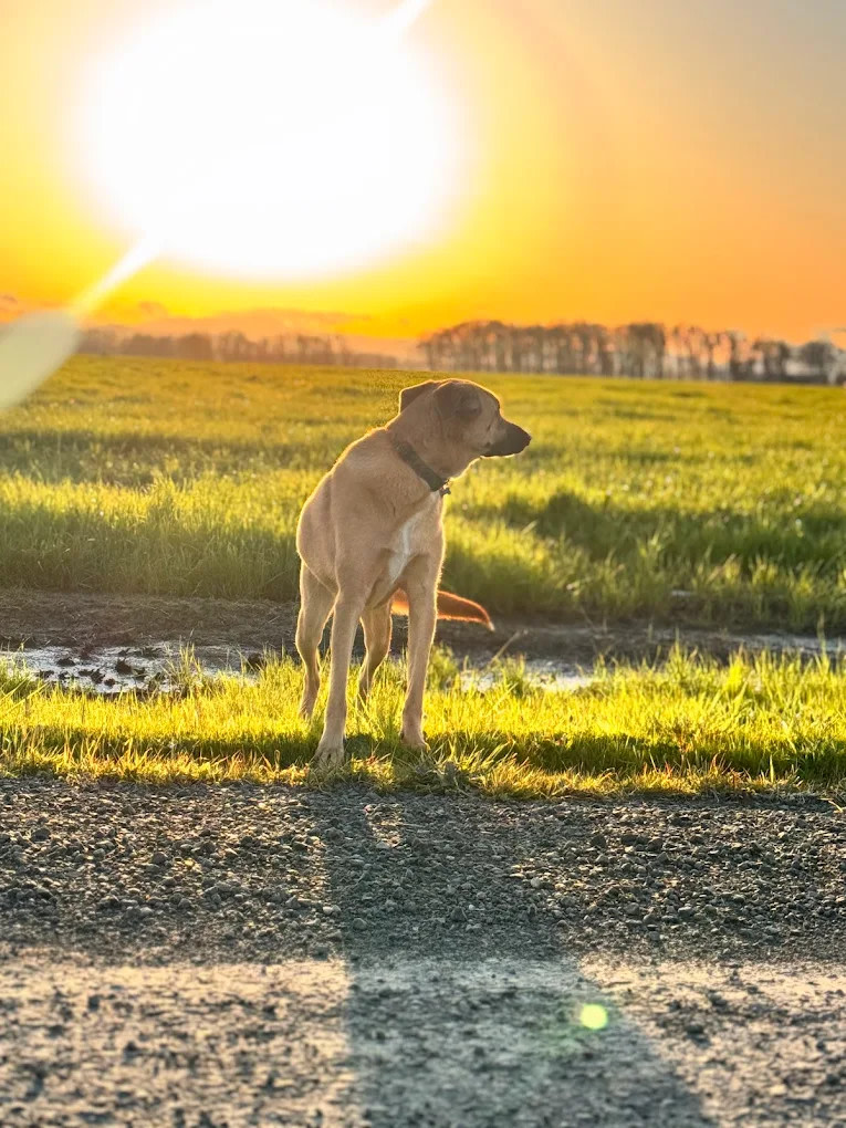 Diamond Hill RV Park