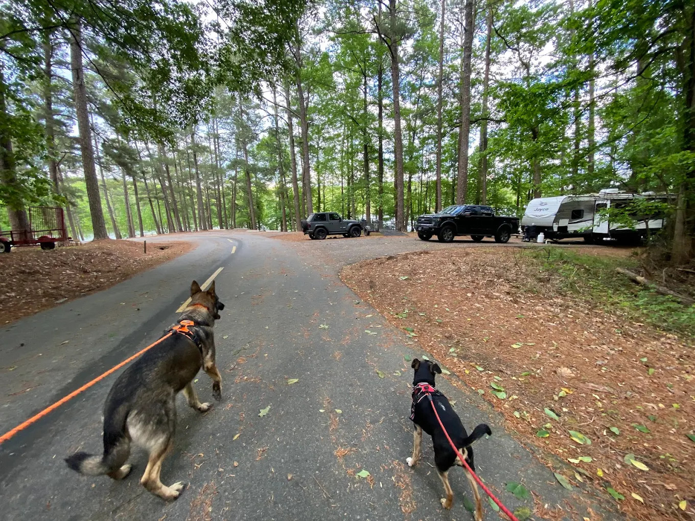 Clark Creek South Campground
