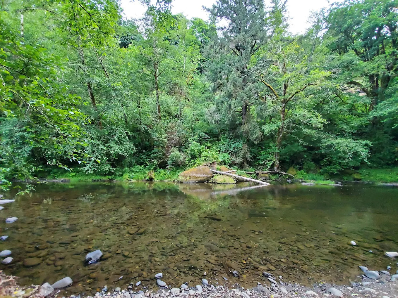 Salmon River RV Park