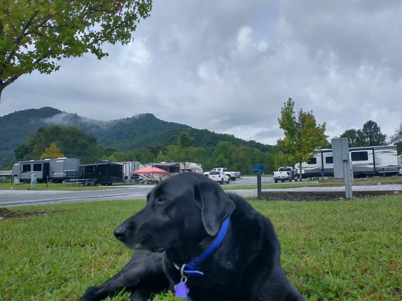 Willow Valley RV Resort