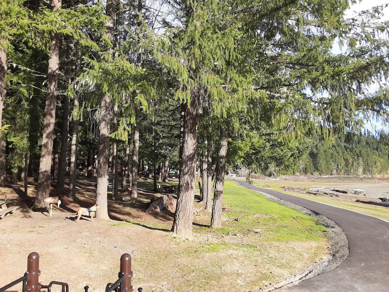 Chief Miwaleta Campground