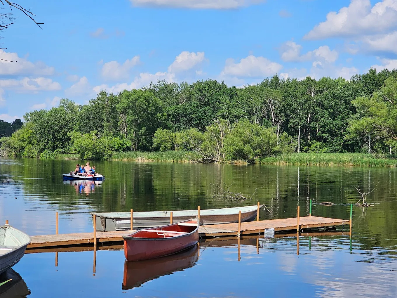 The Playful Goose Campground of the Horicon Marsh