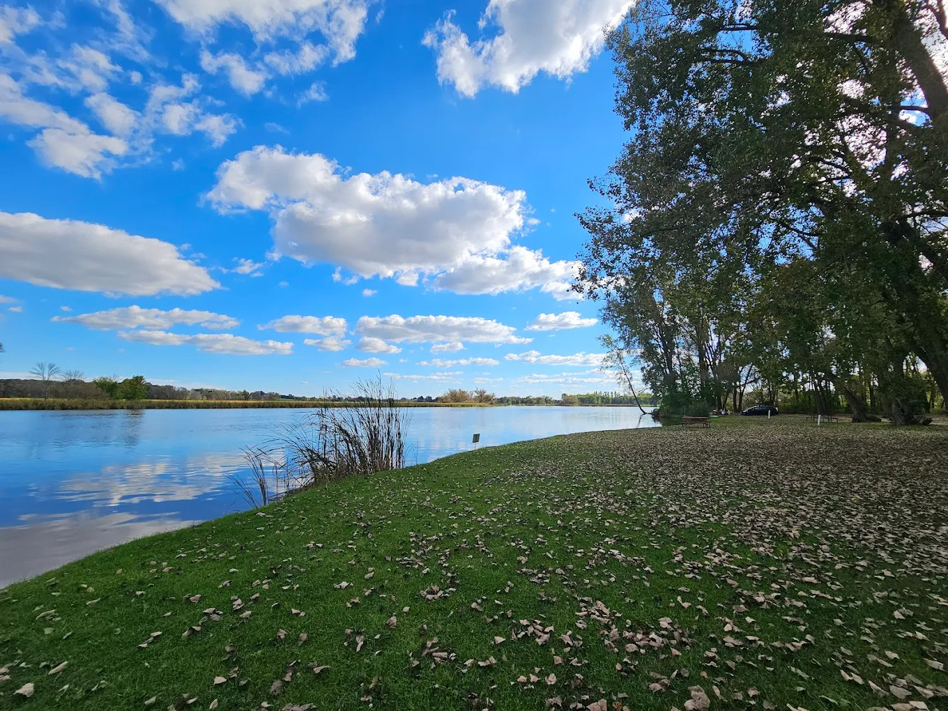 The Playful Goose Campground of the Horicon Marsh