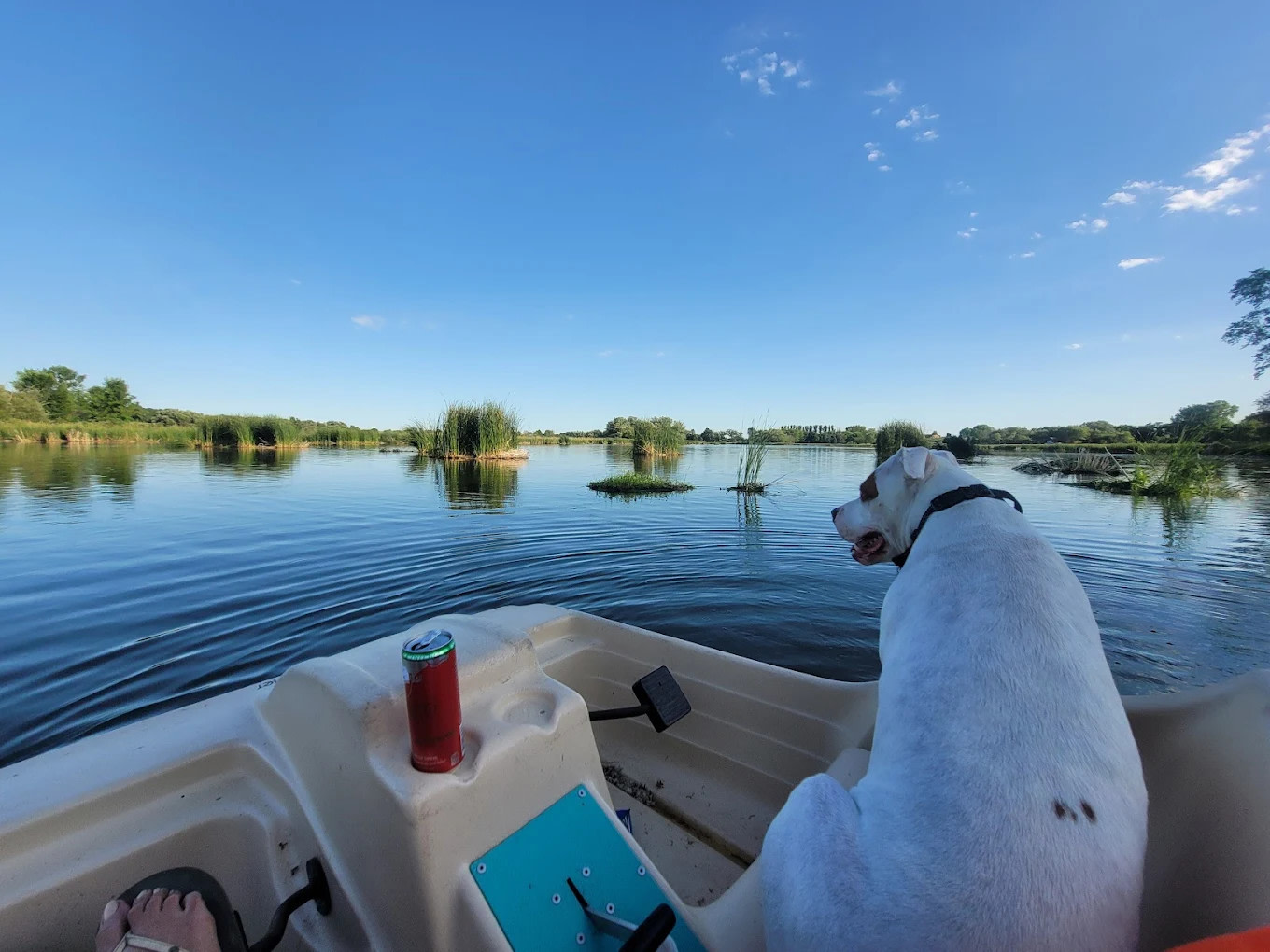 The Playful Goose Campground of the Horicon Marsh