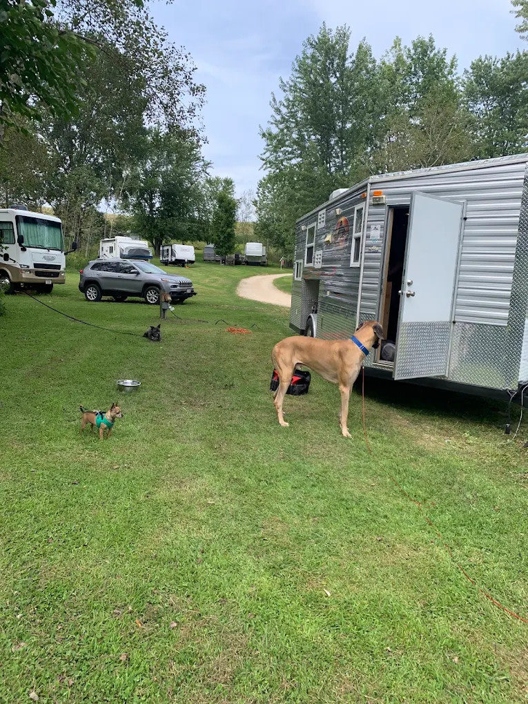 The Playful Goose Campground of the Horicon Marsh