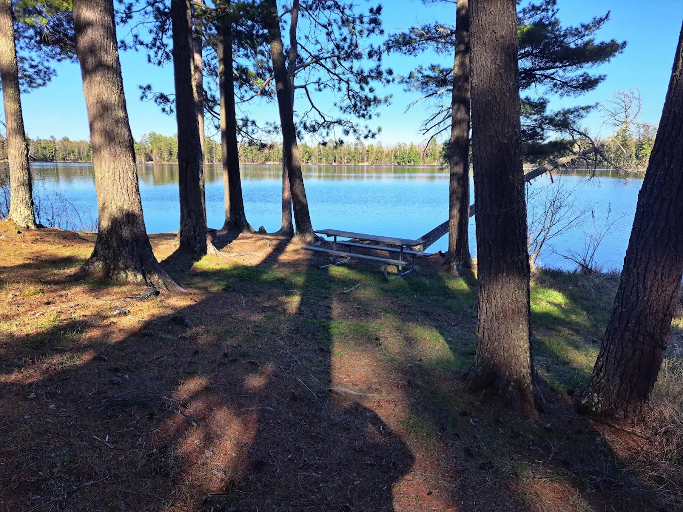 Bass Lake County Park
