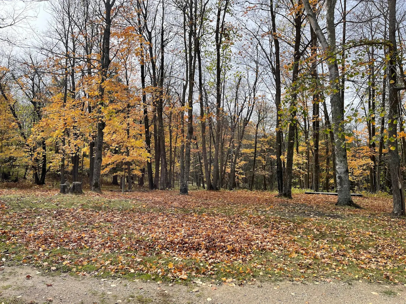 Birch Haven Campground