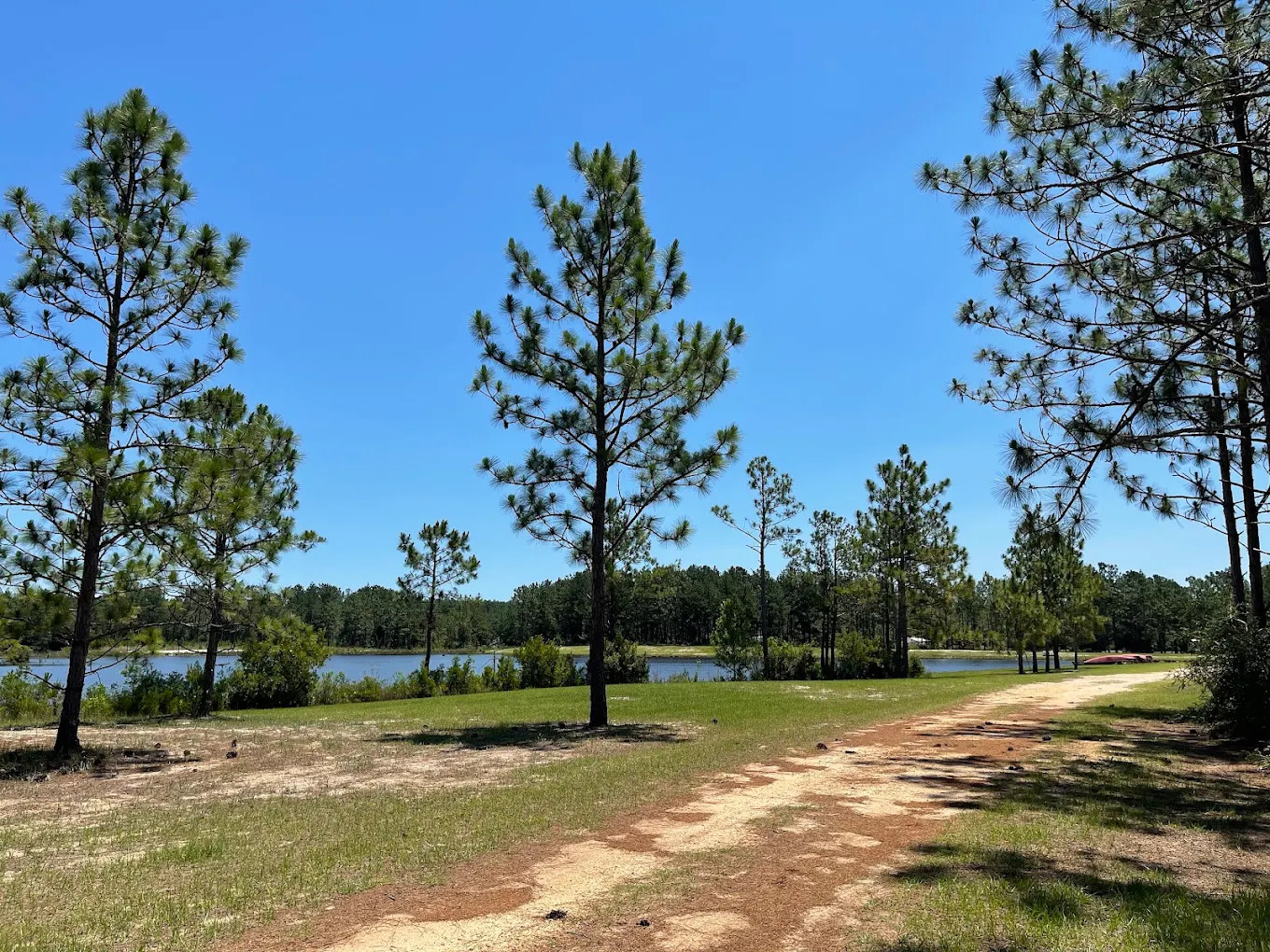 Magnolia Branch Wildlife Reserve