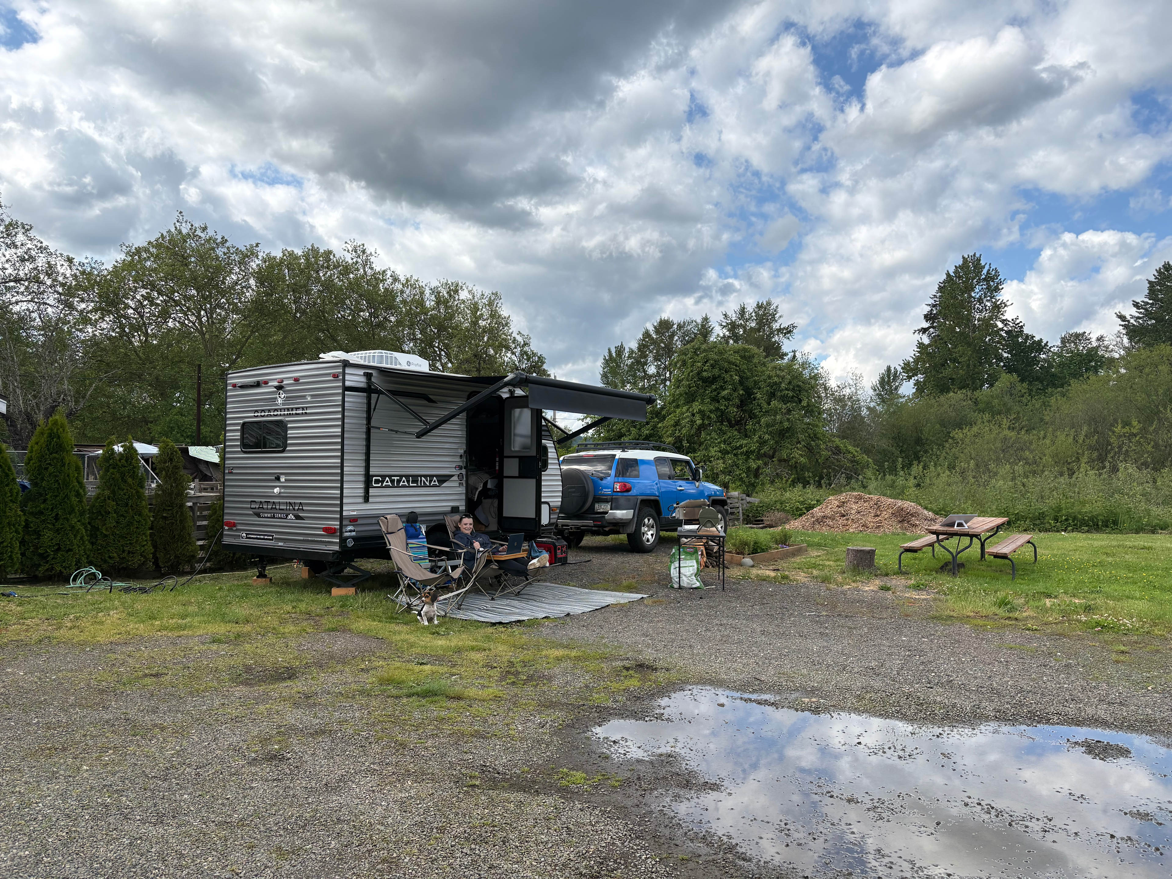 Dandelion Fuzzies Minifarm
