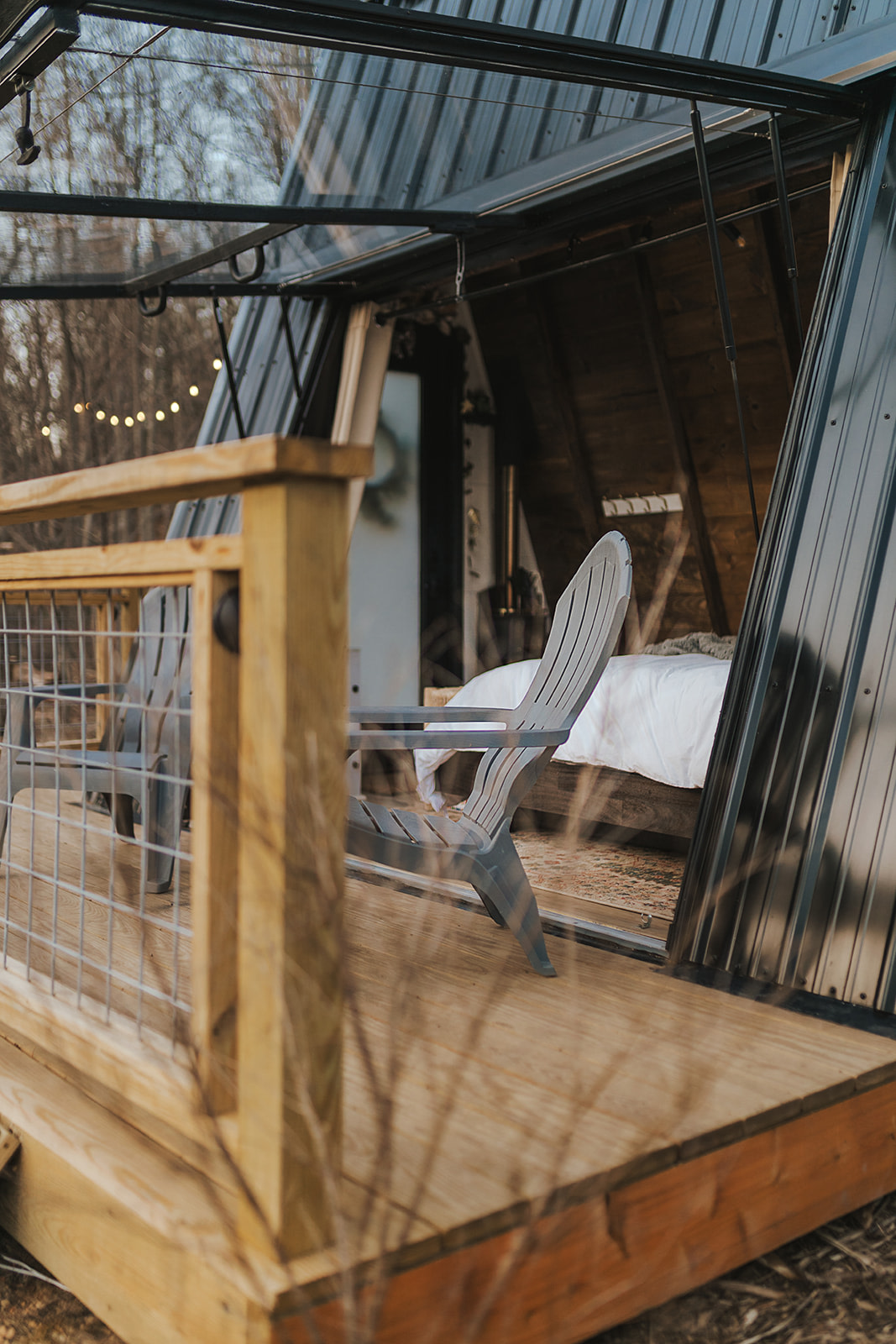 The Wildflower On Abrams Creek