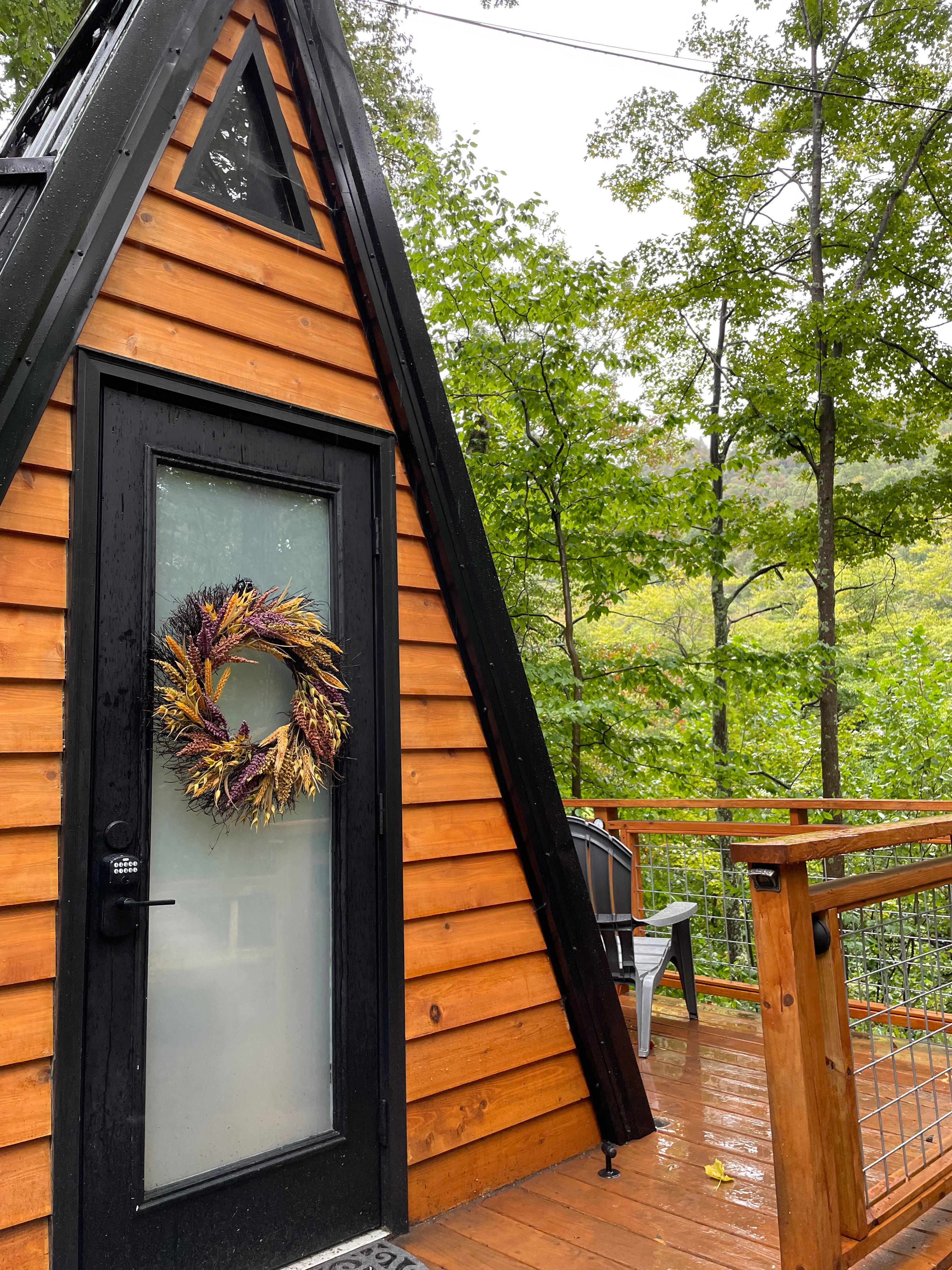 The Wildflower On Abrams Creek