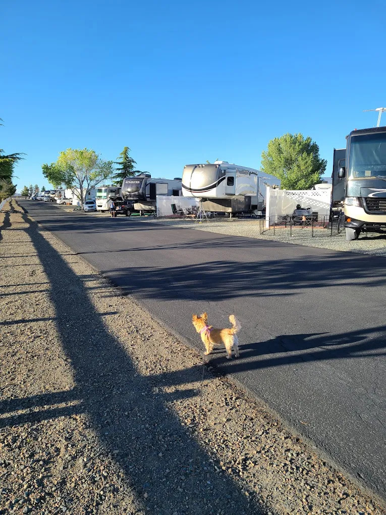 Fairgrounds RV Park