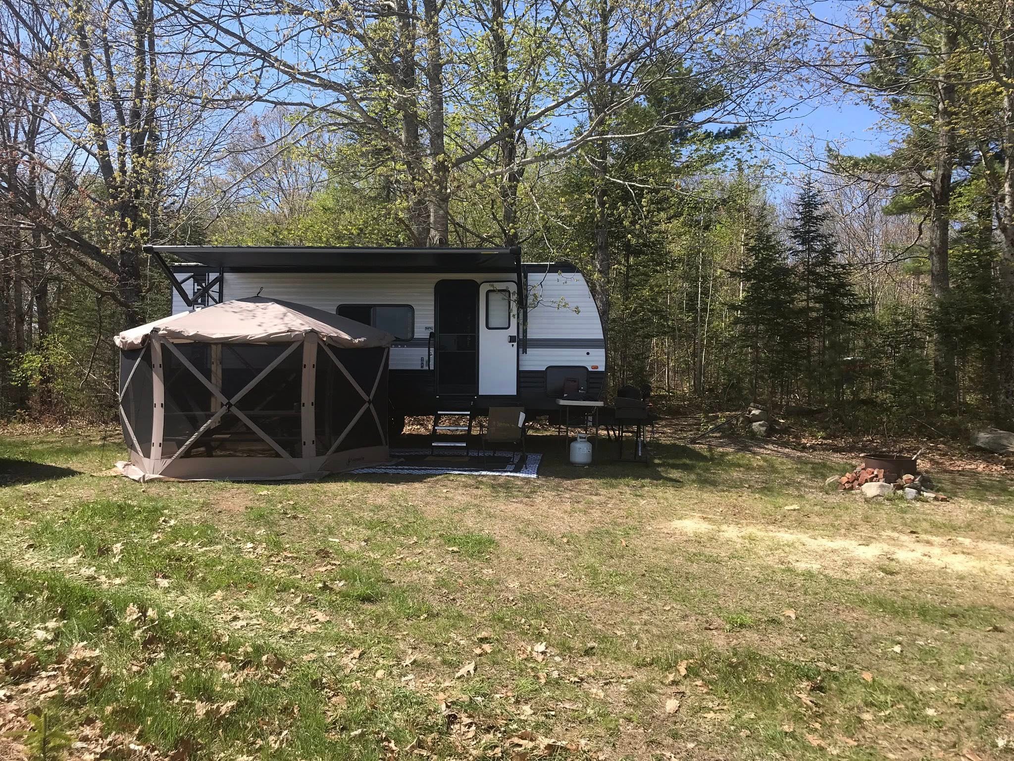 Maine Christmas Tree Farm