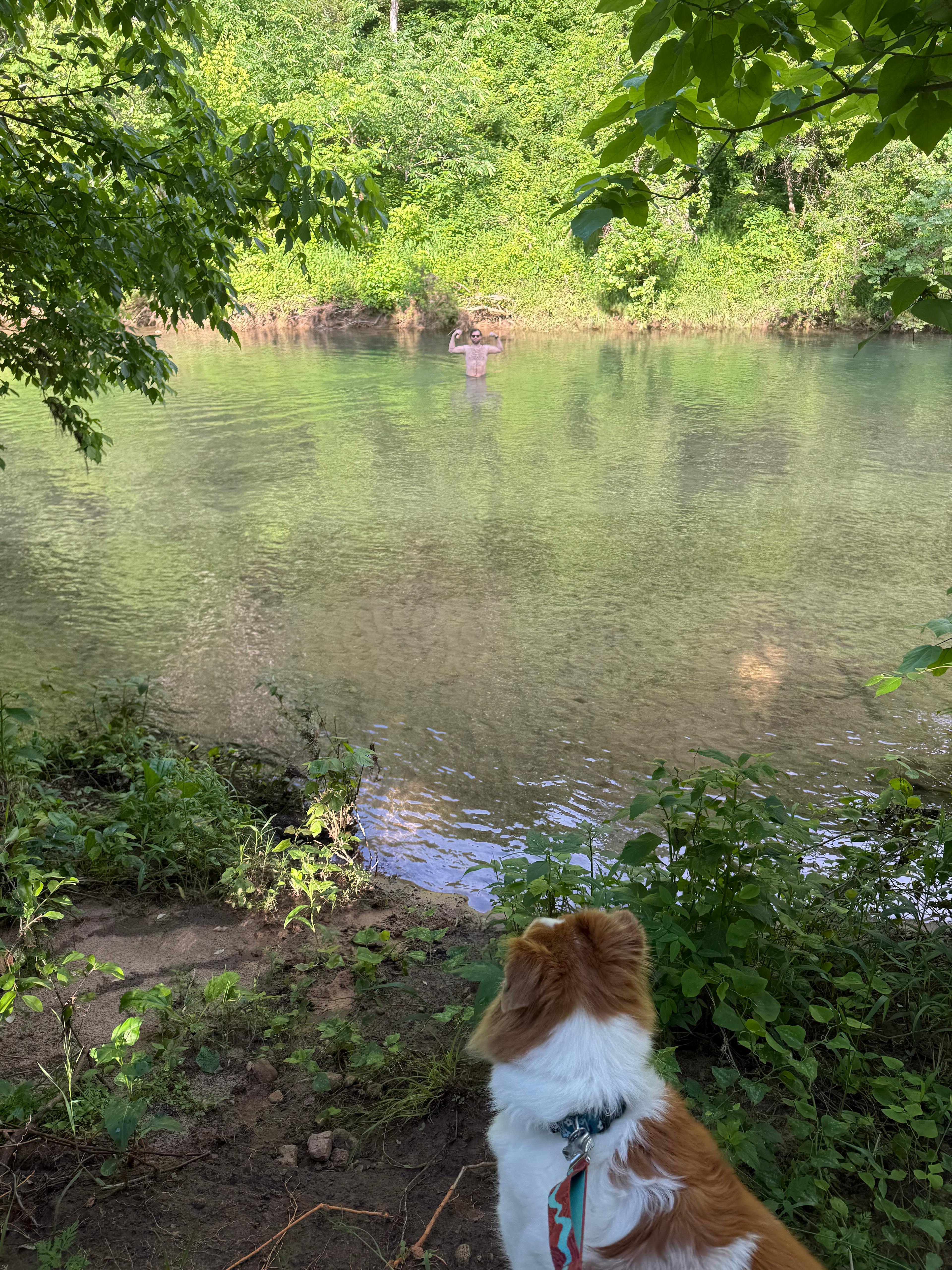 lightning Bug Hideaway