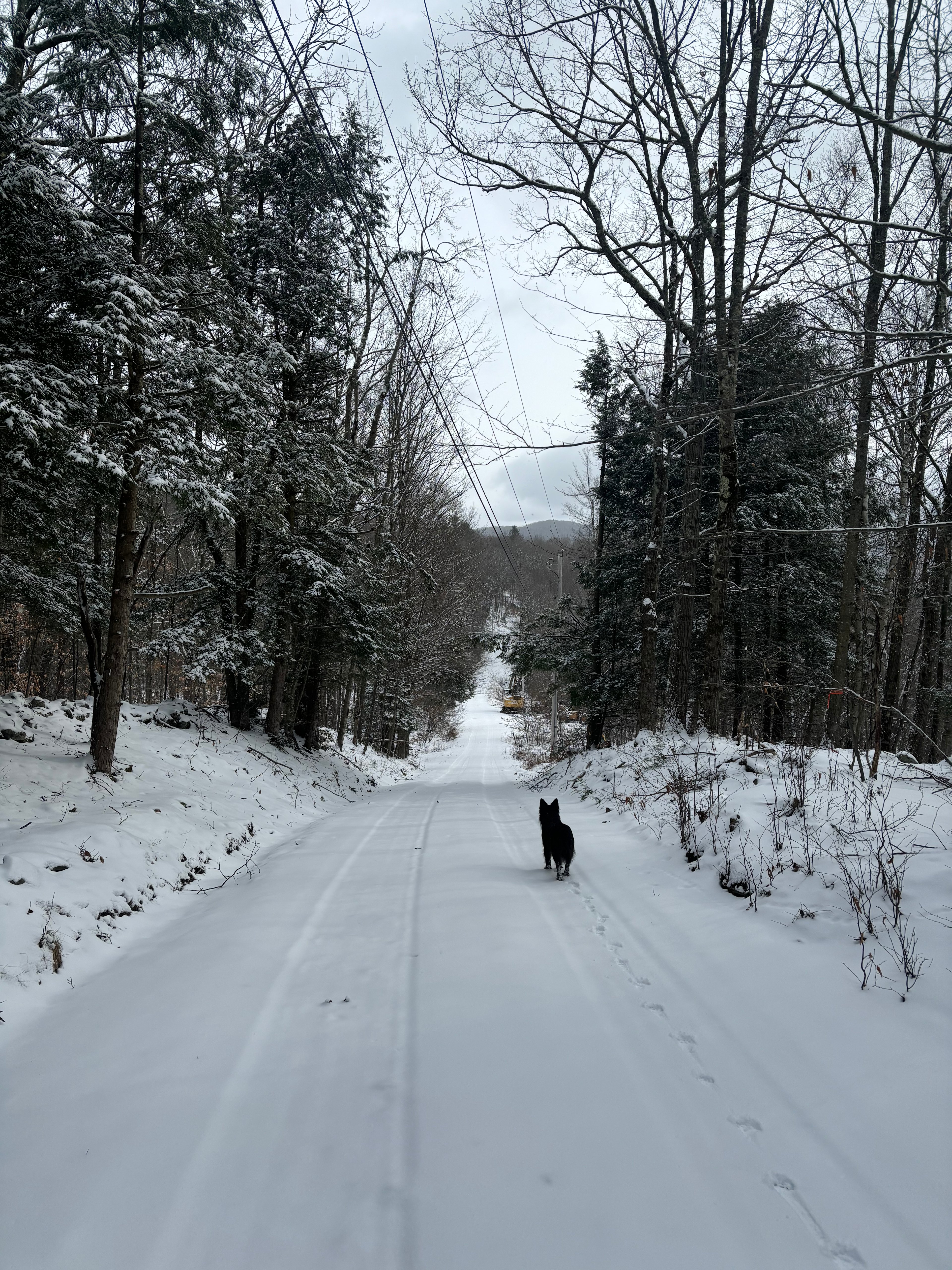 Hidden Escape| The Great Getaway