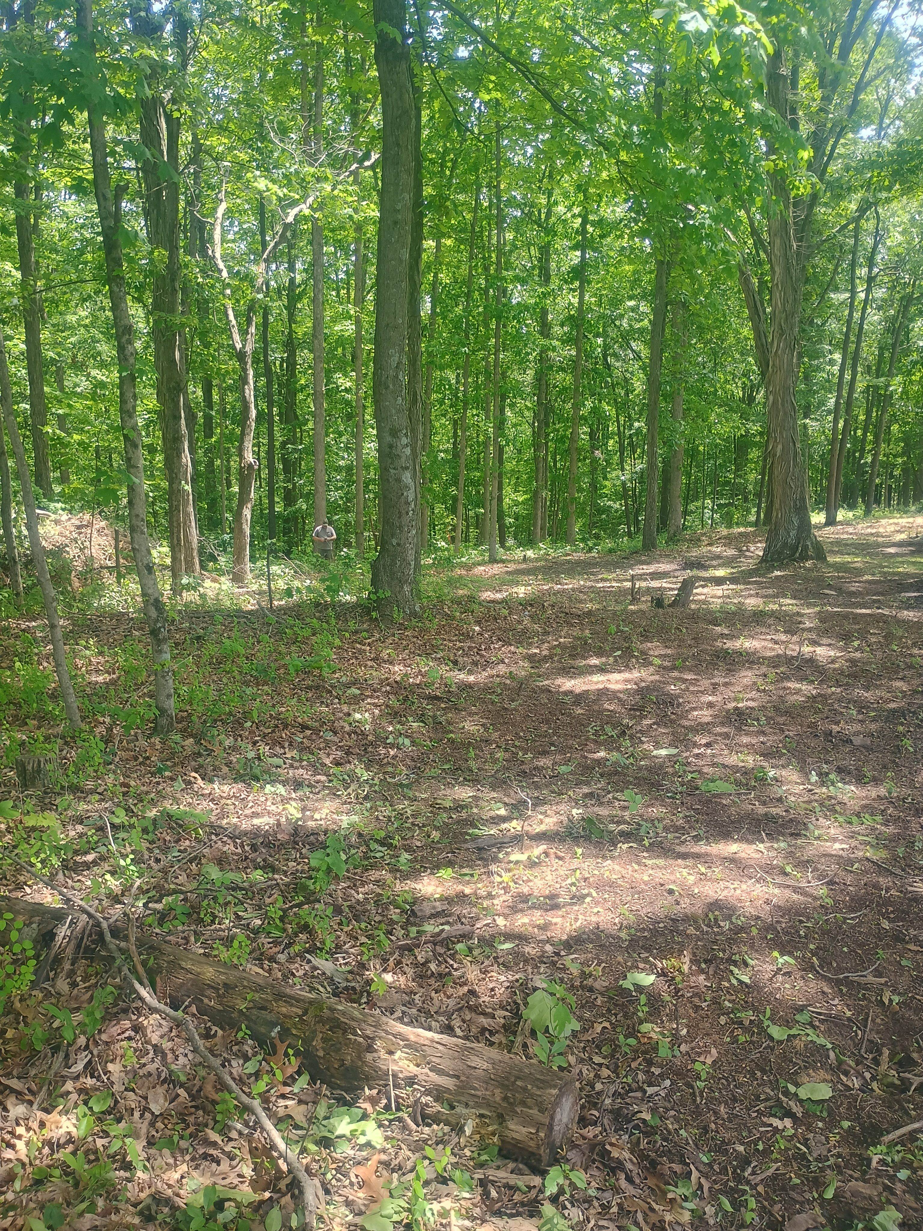 Wild Ridge Campsites