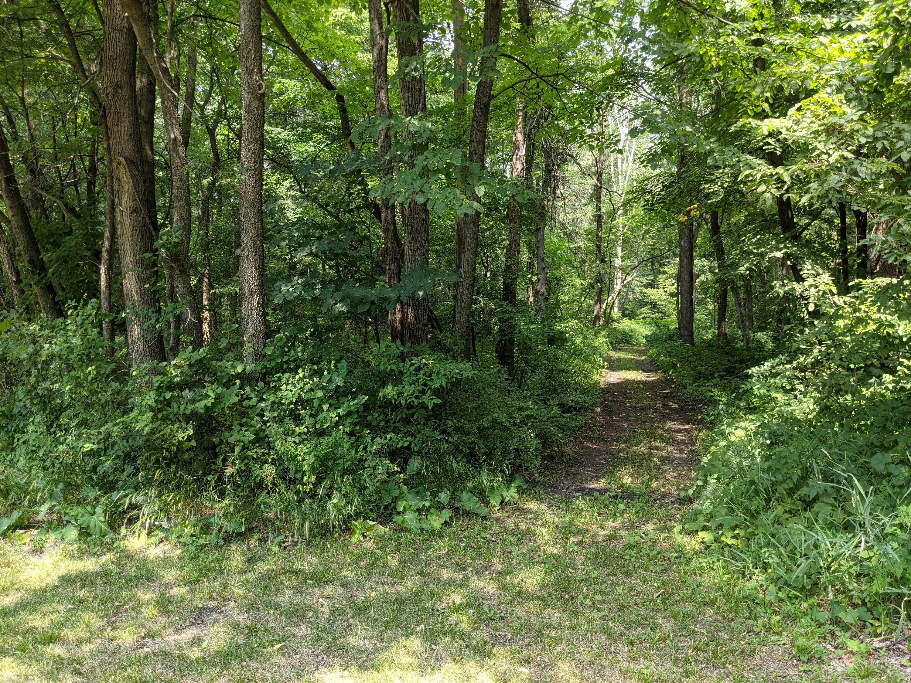 Bright Lake Park