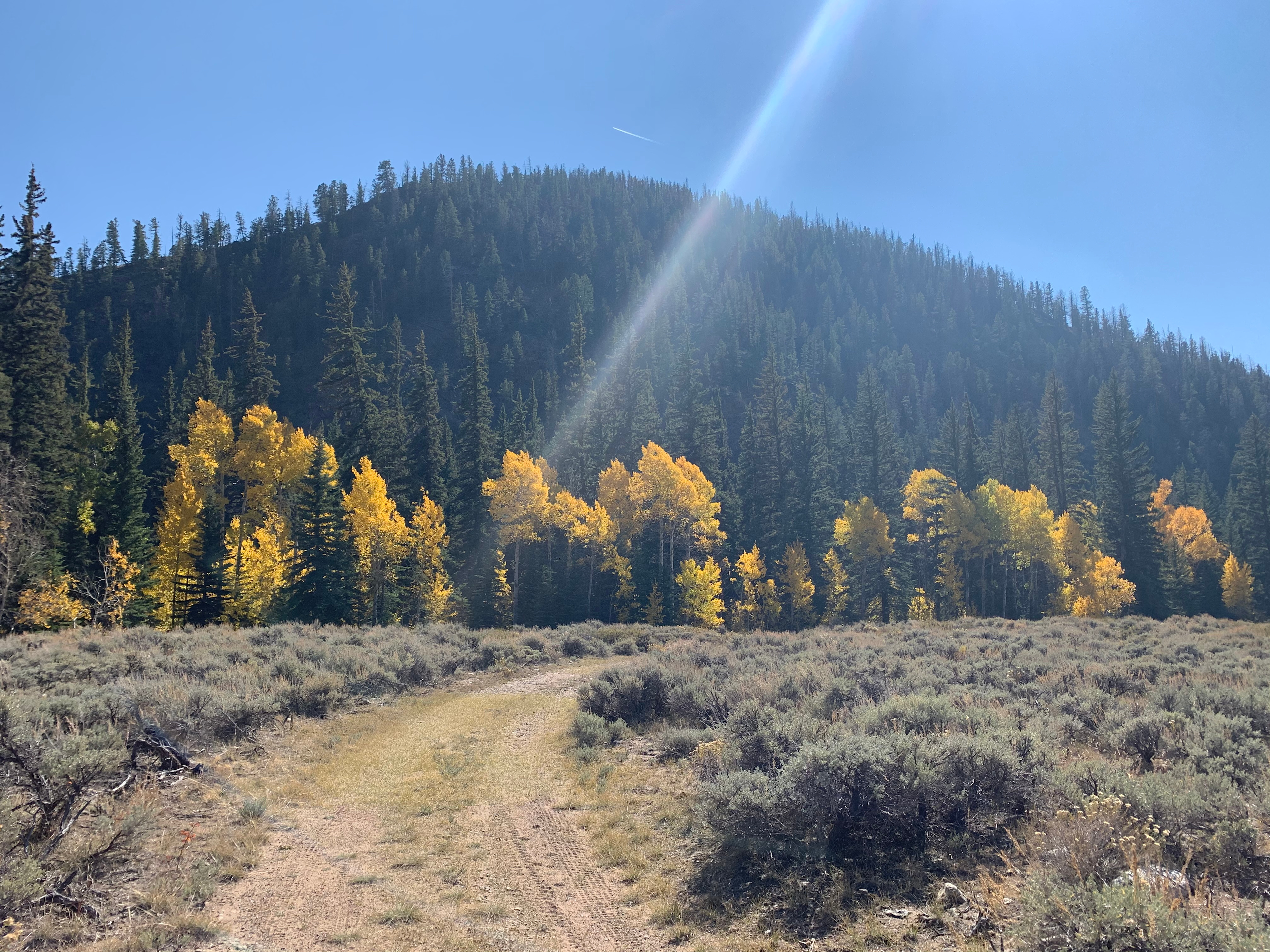 The Gold Links Ranch