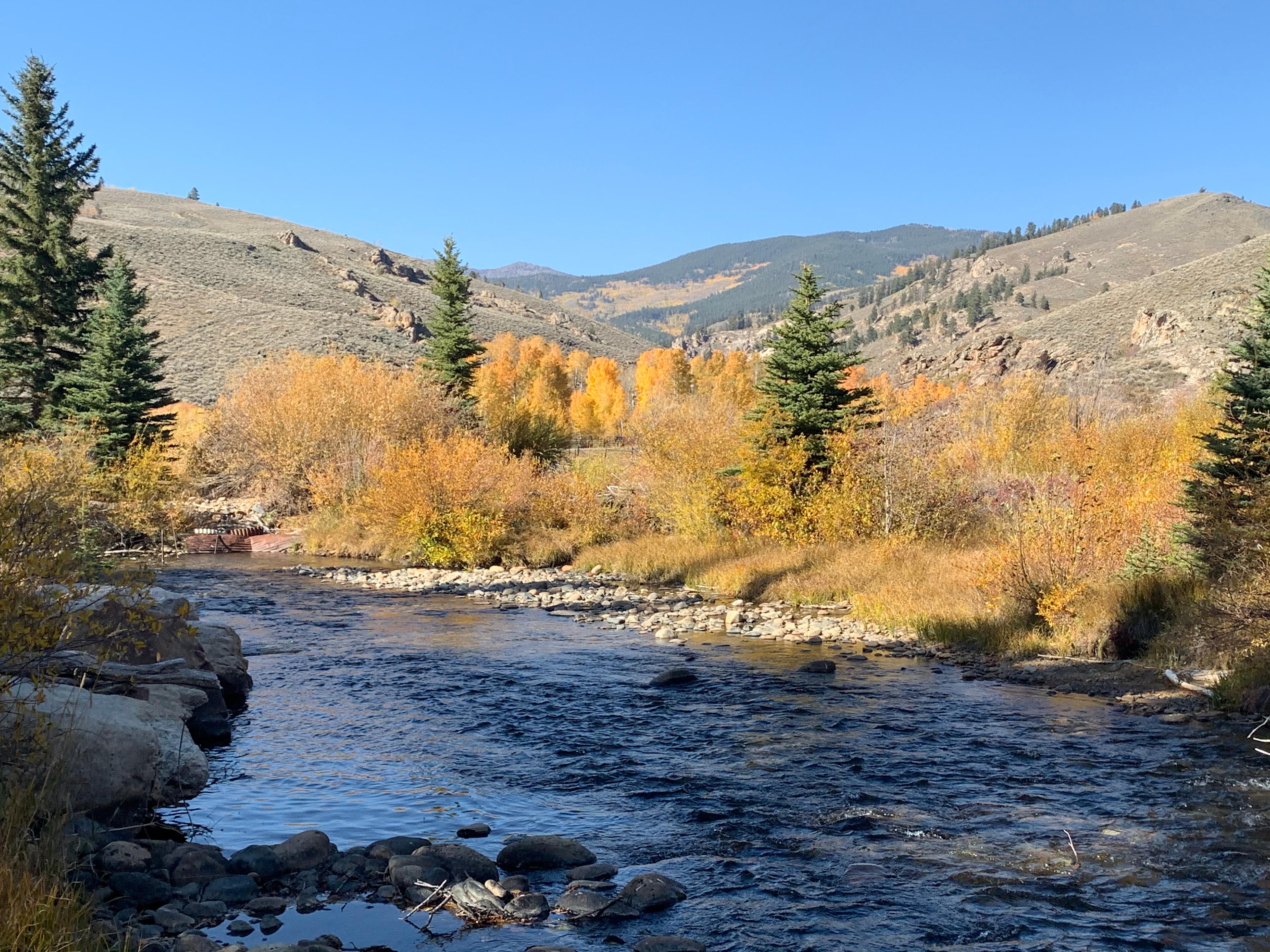 The Gold Links Ranch