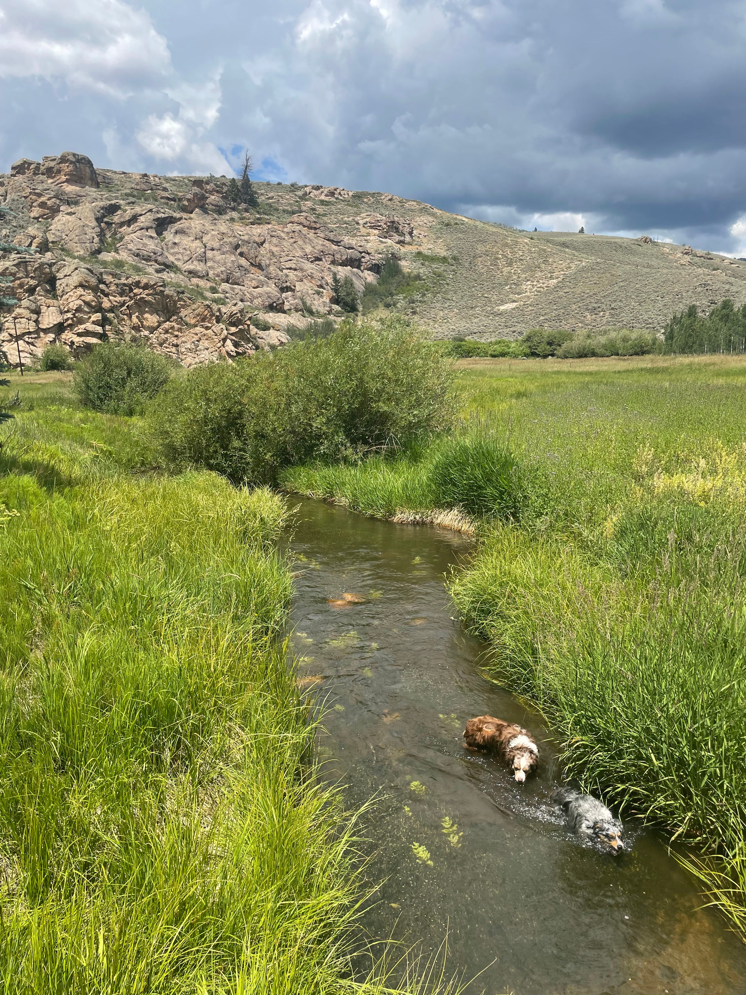 The Gold Links Ranch