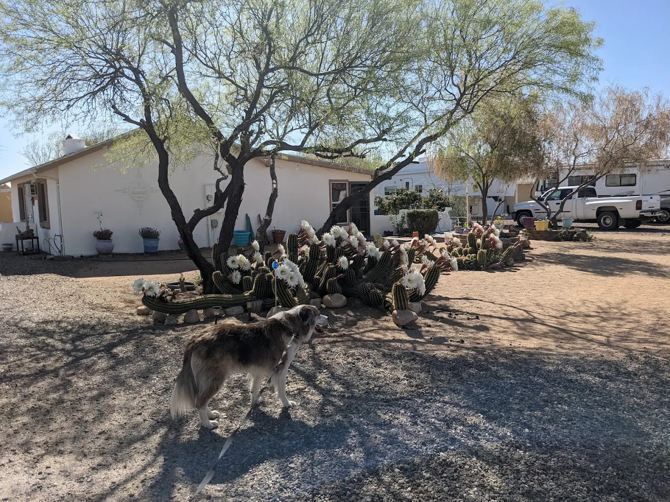 Escapees North Ranch