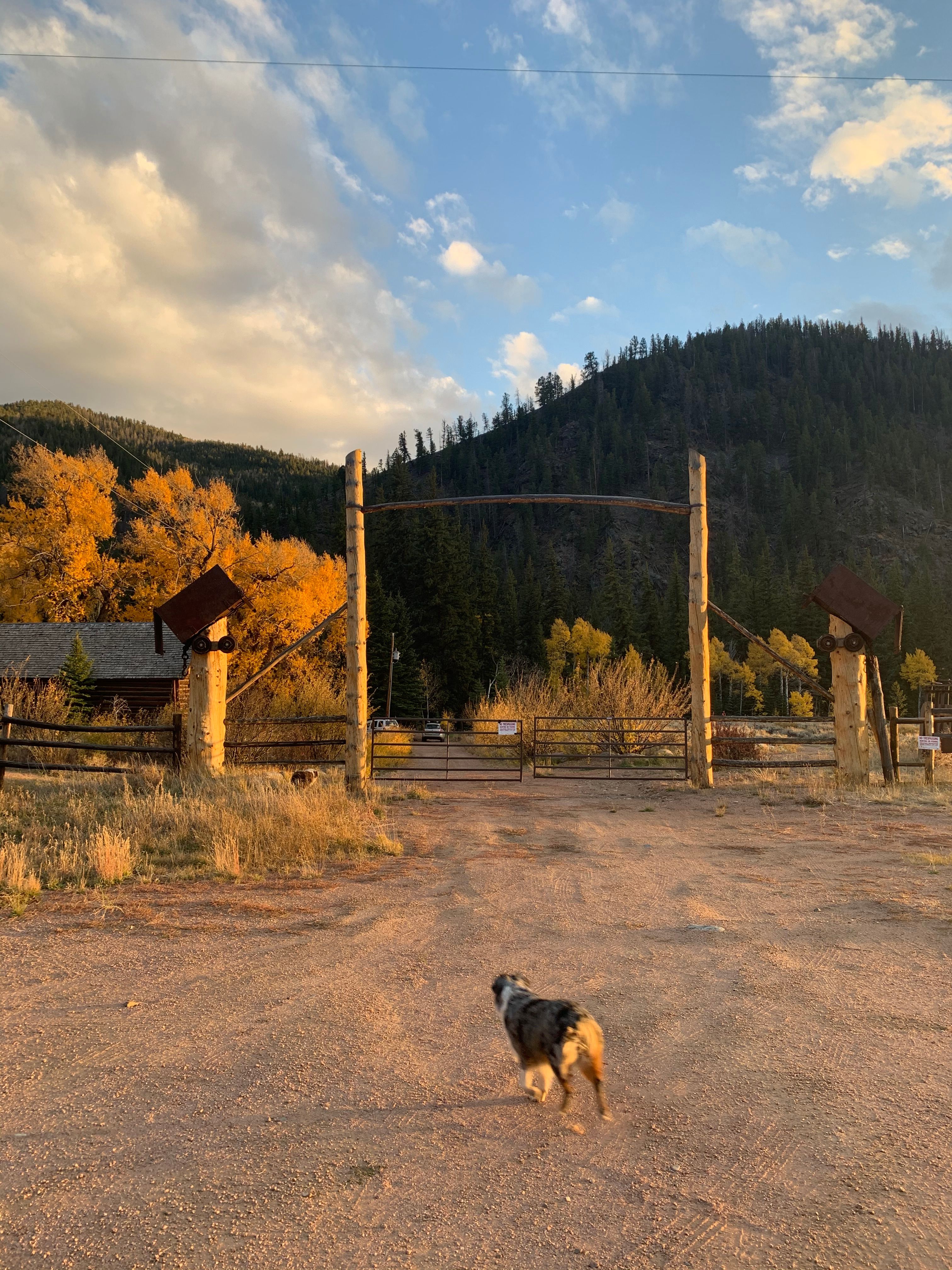 The Gold Links Ranch