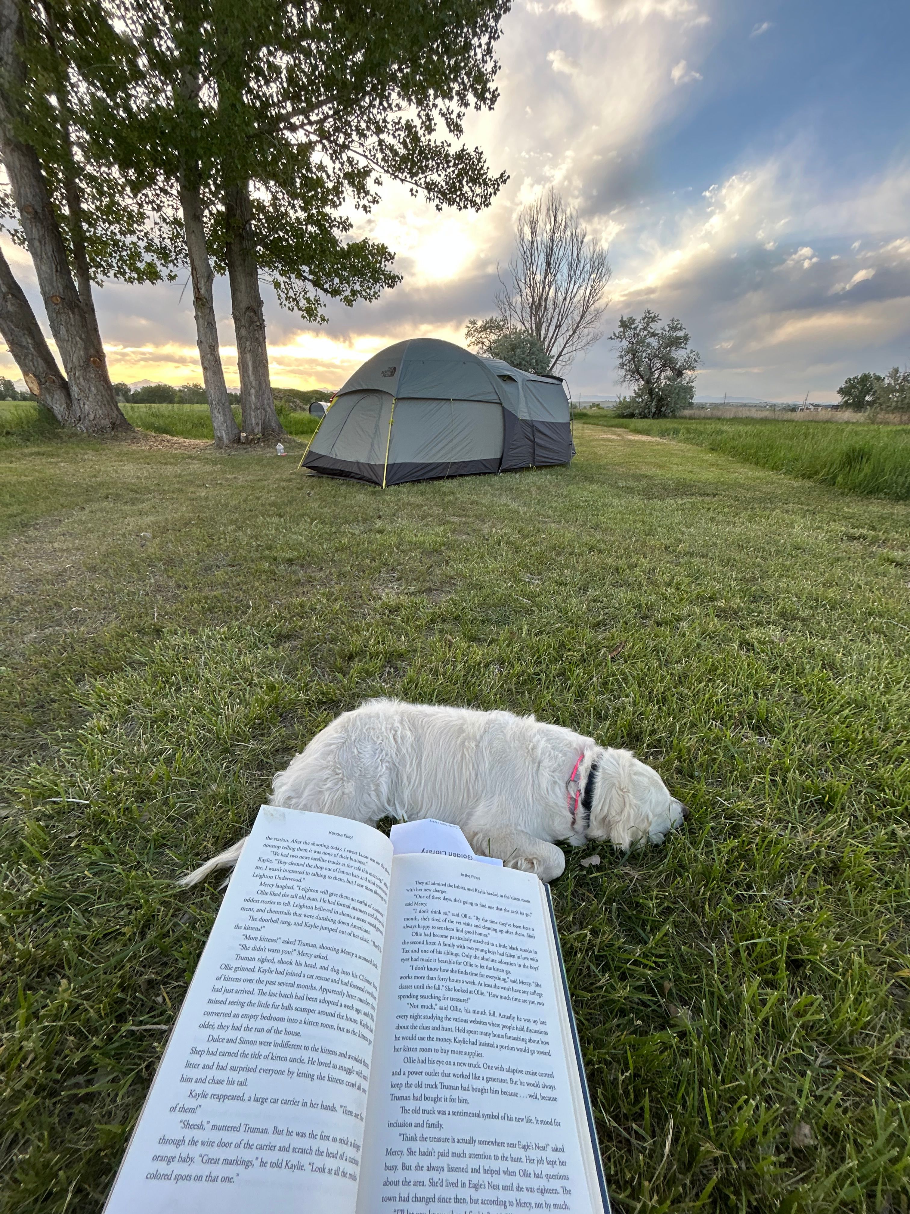 Montgomery Homestead