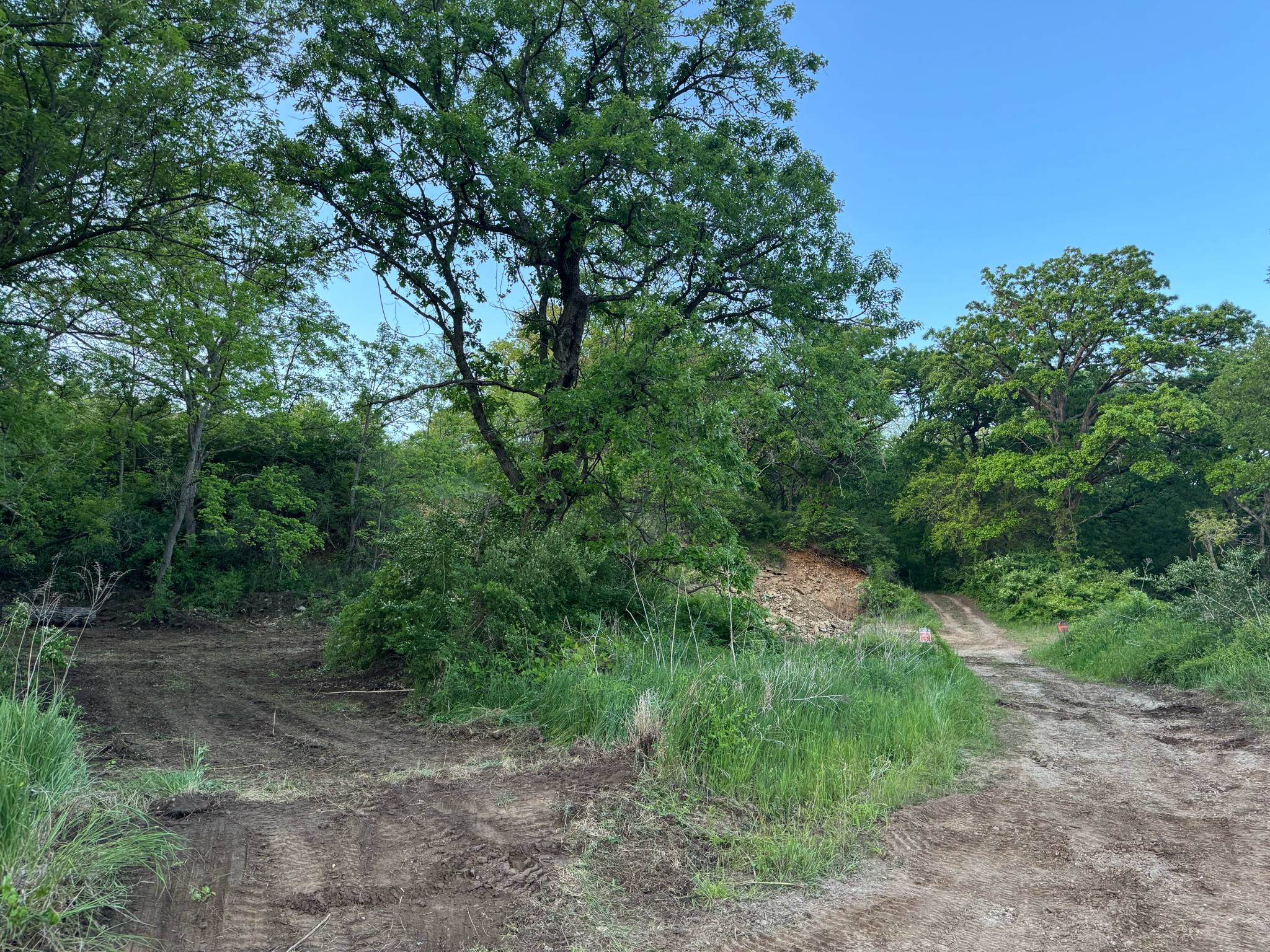 Foley's 4x4 Timber Trail Camping