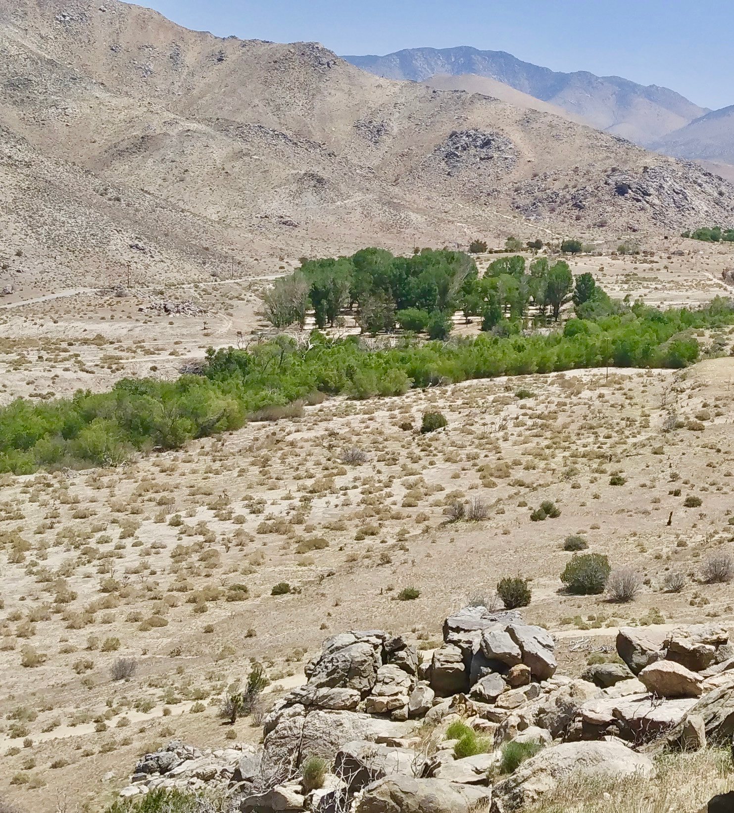 high desert views of the ranch