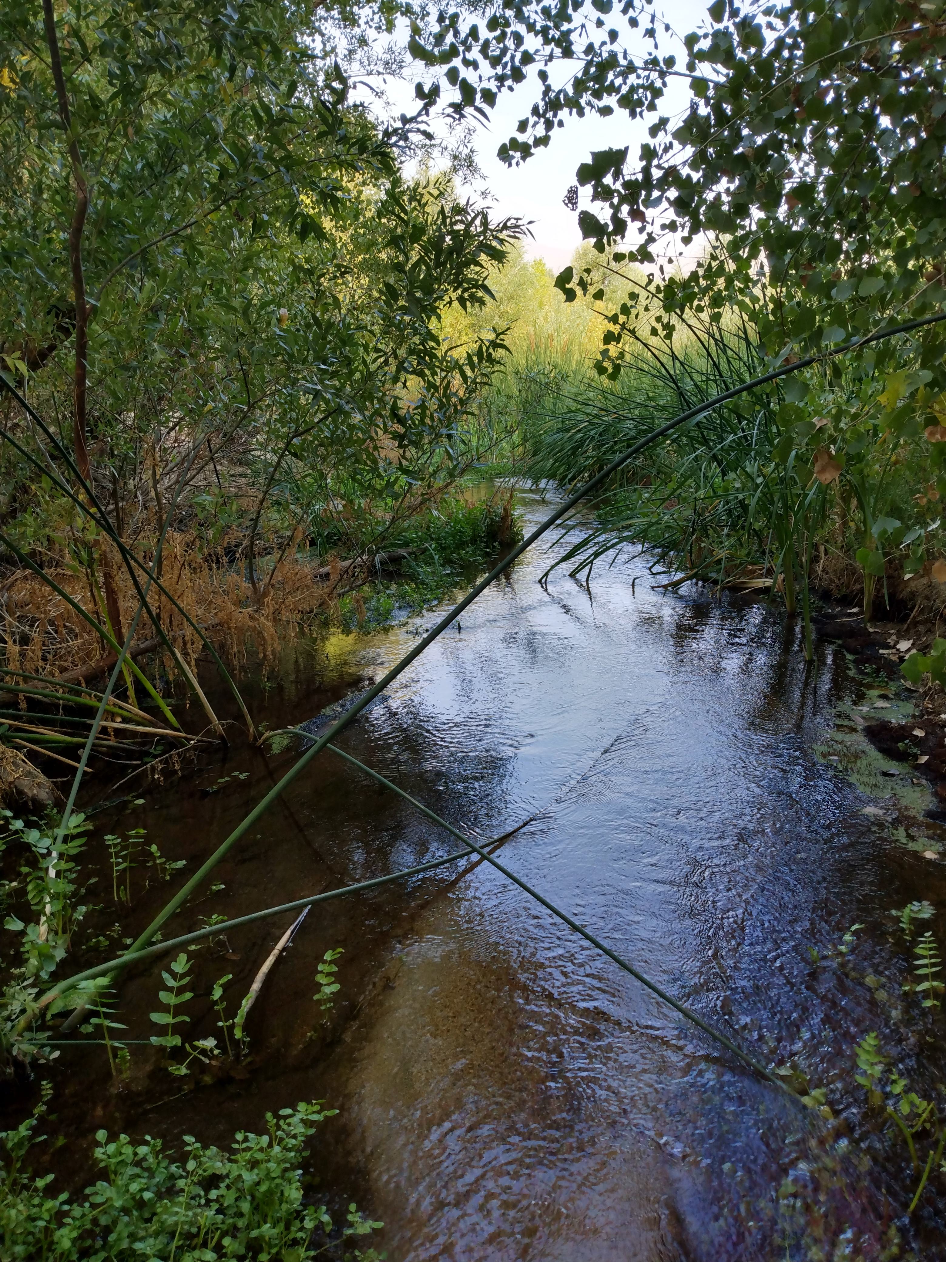 Silver Spur Ranch