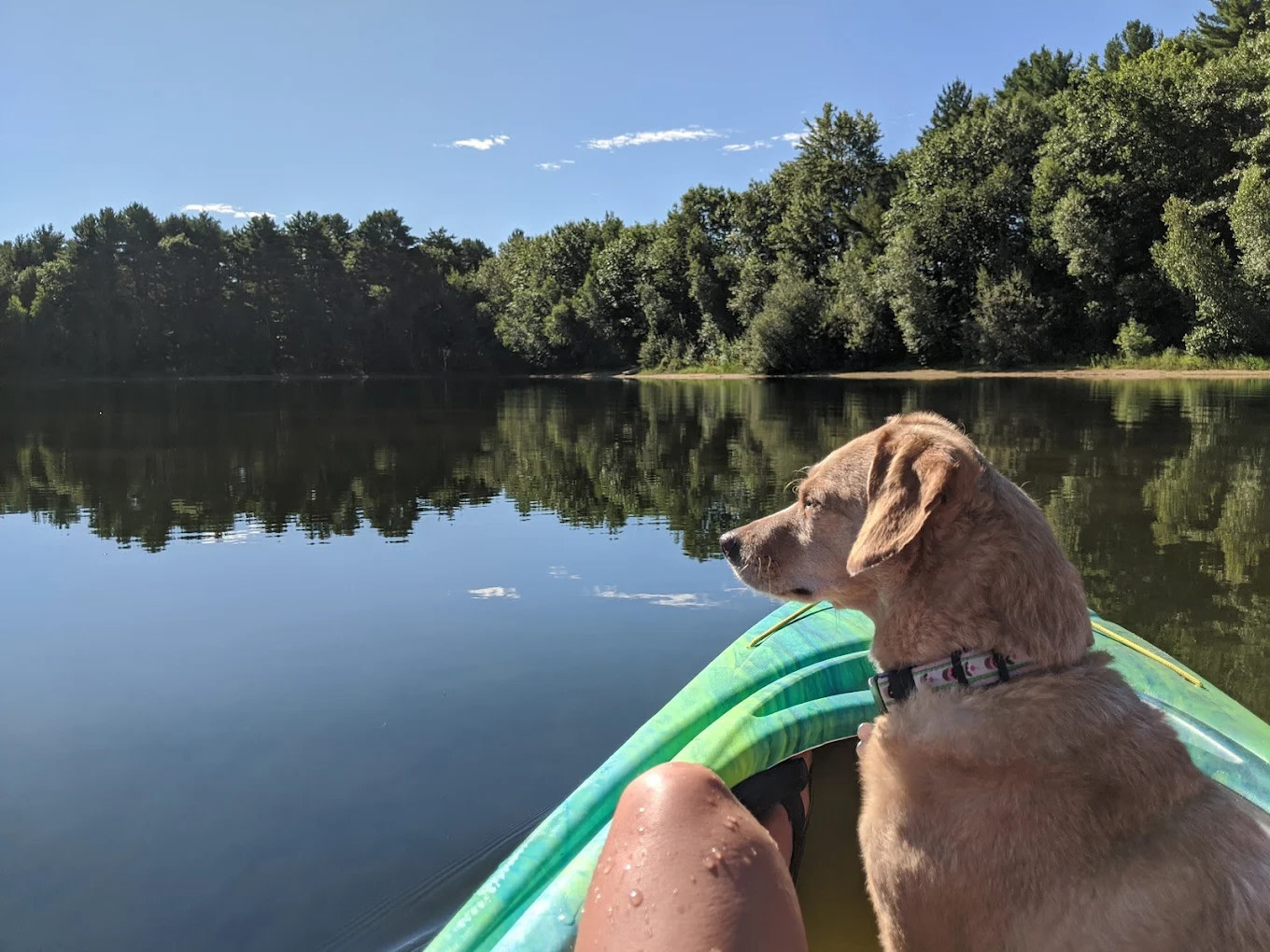 Wassamki Springs Campground
