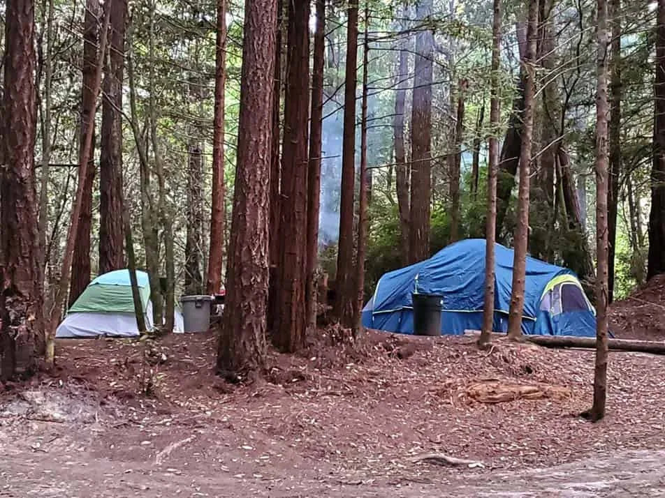 Wildwood Campground & RV Resort