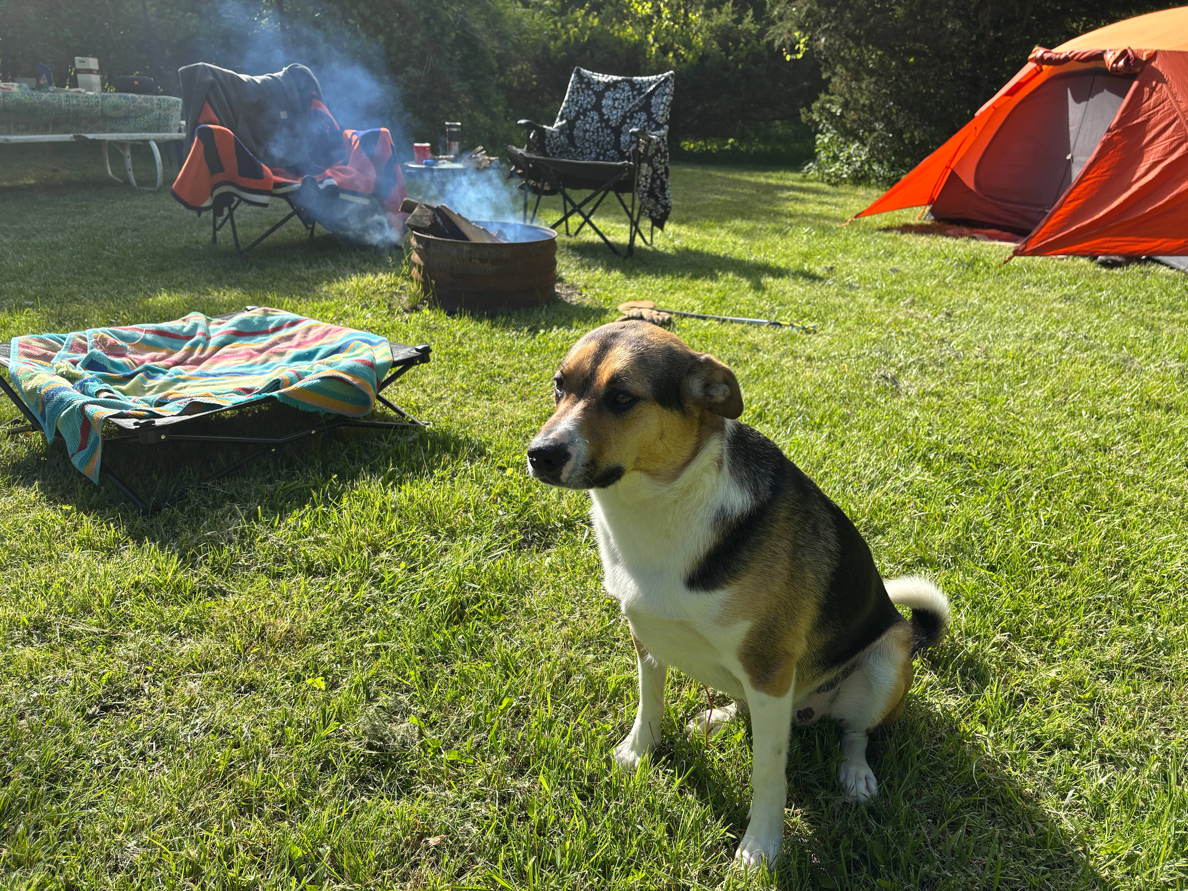 Stickley Family Farms