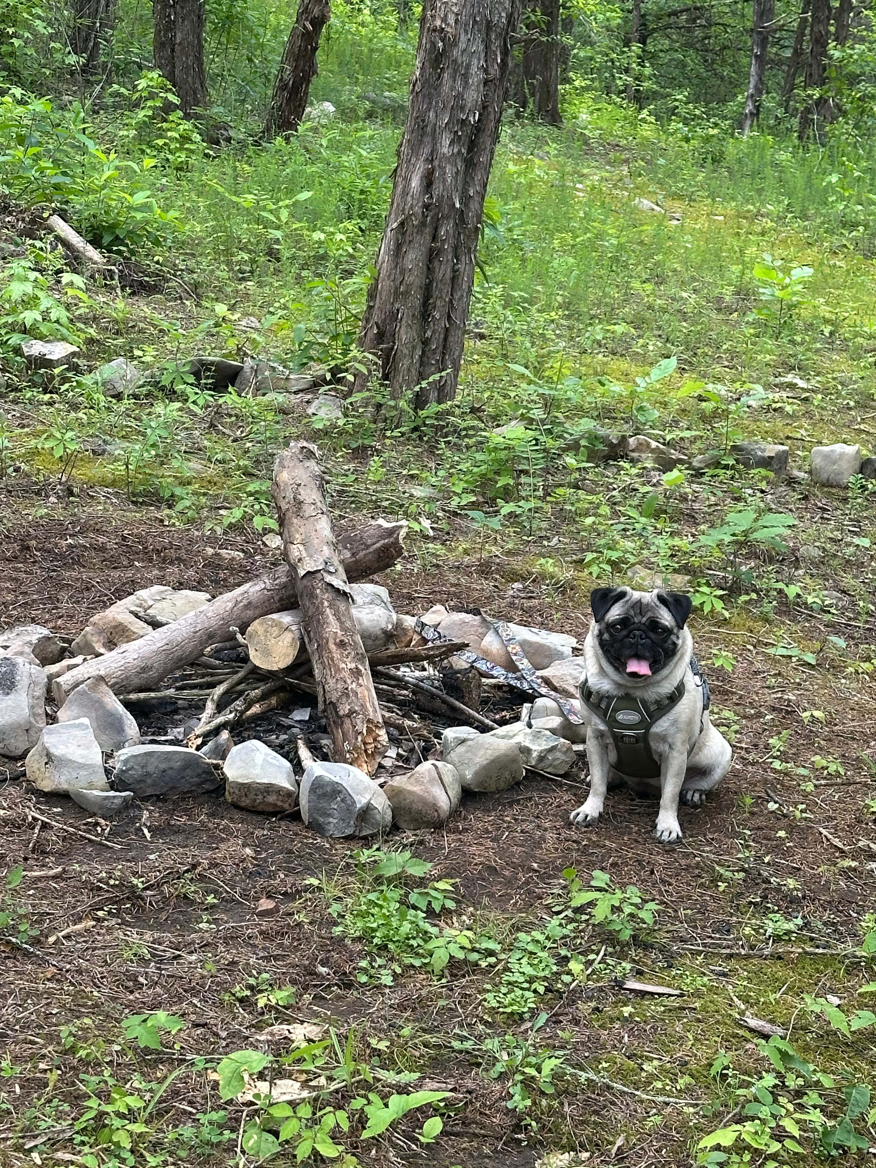 Posing by firepit