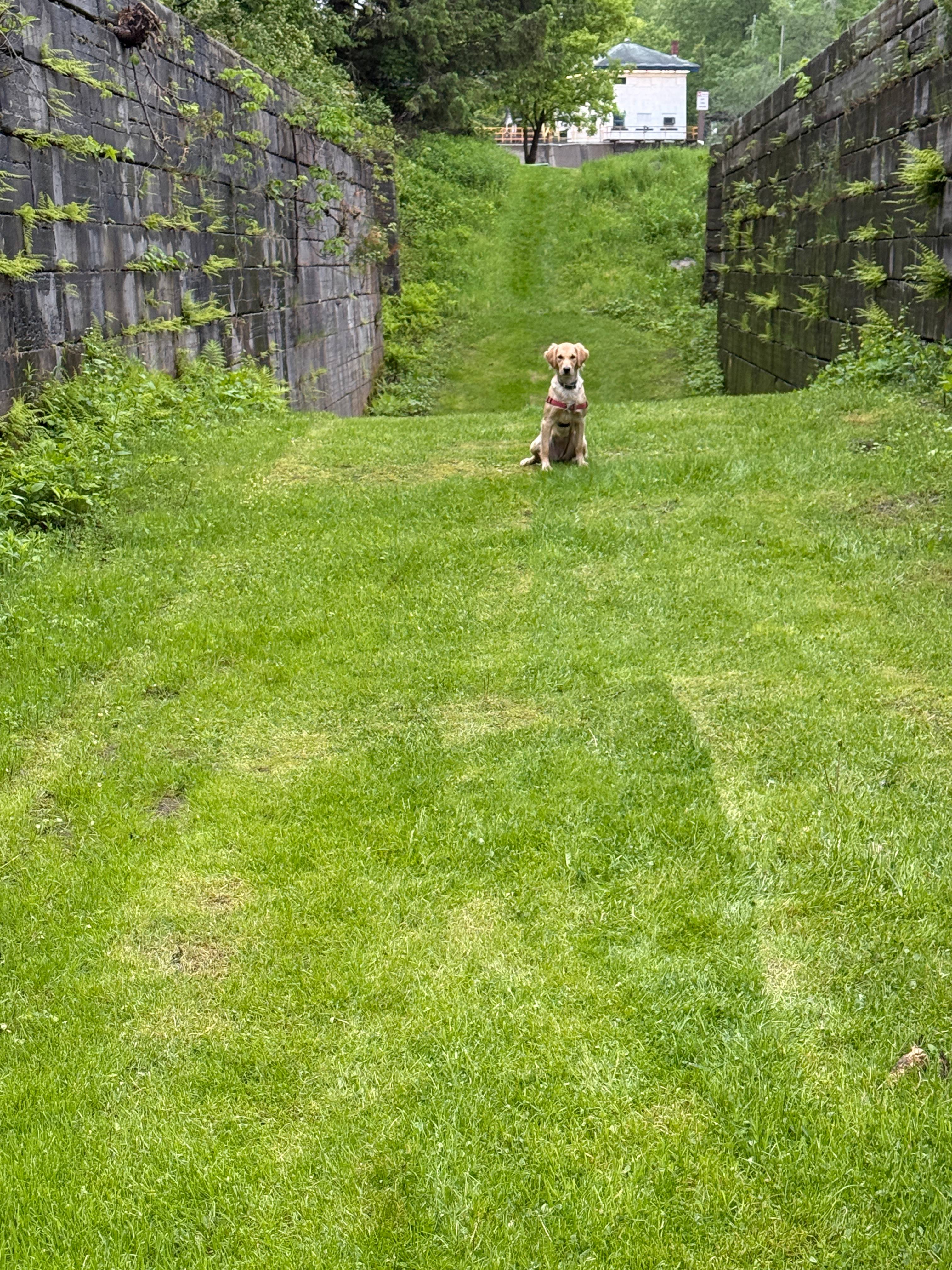 These photos are not the Hip Camp but across the Mohawk River at the historic Erie Canal Lock 36.  