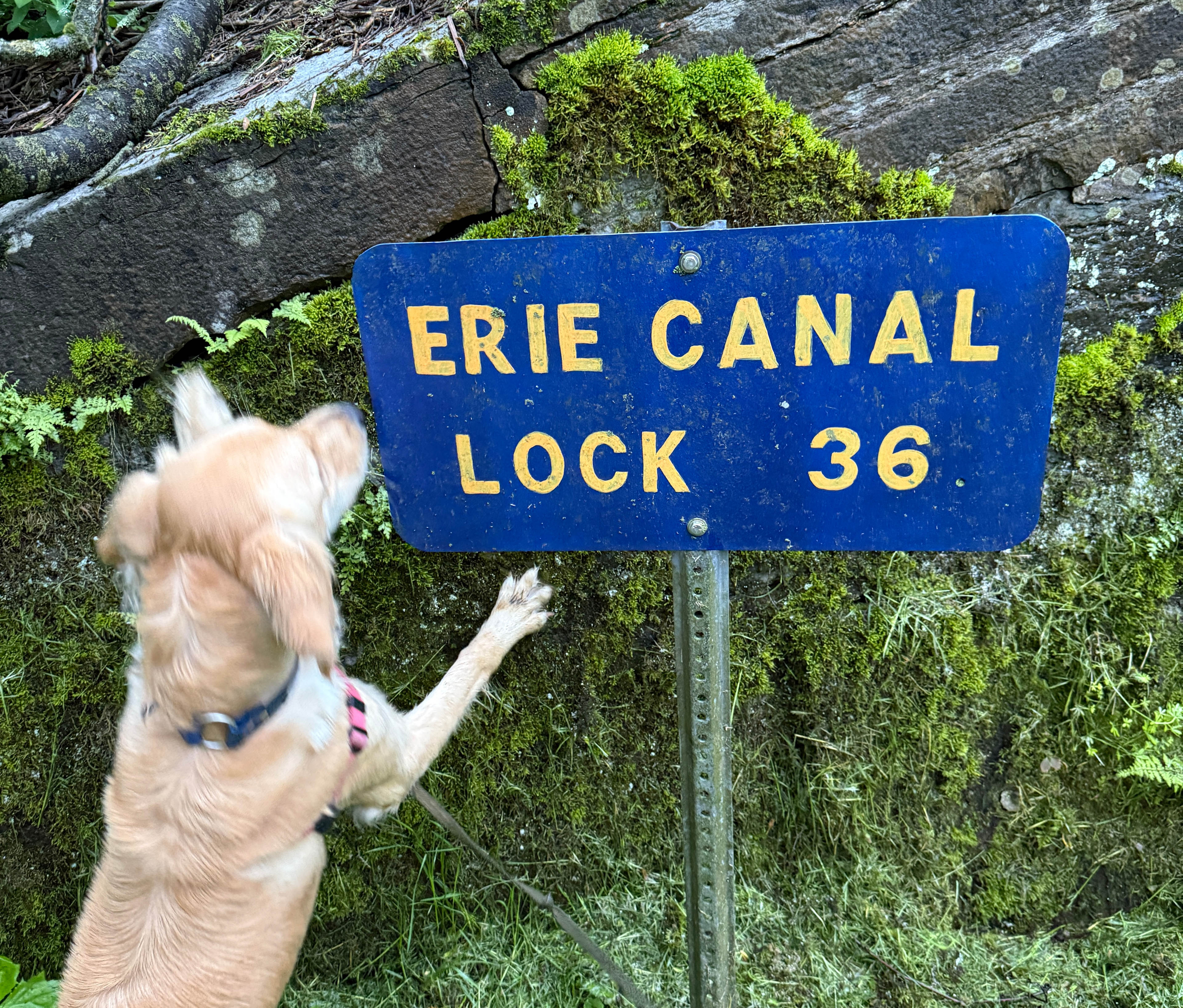 Across the Mohawk River from the Hip Camp. 