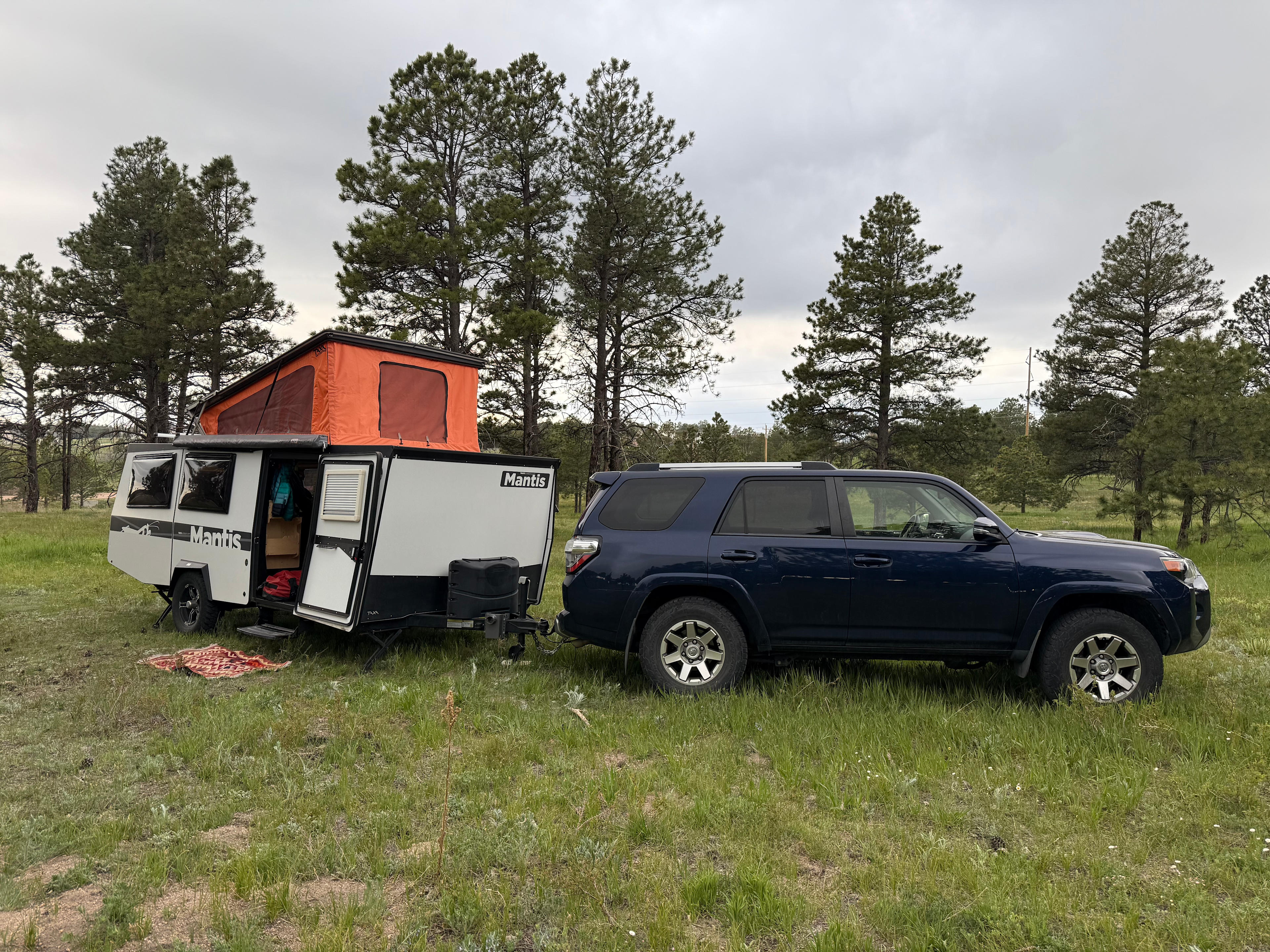 Forest and Field! Horses welcome!