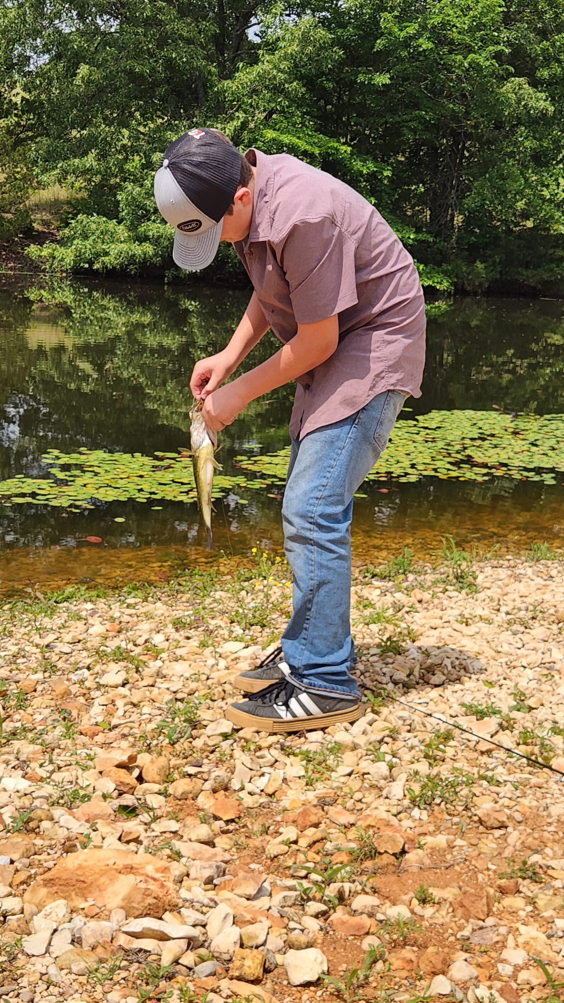 Grassy Road Cabins and RV Camping