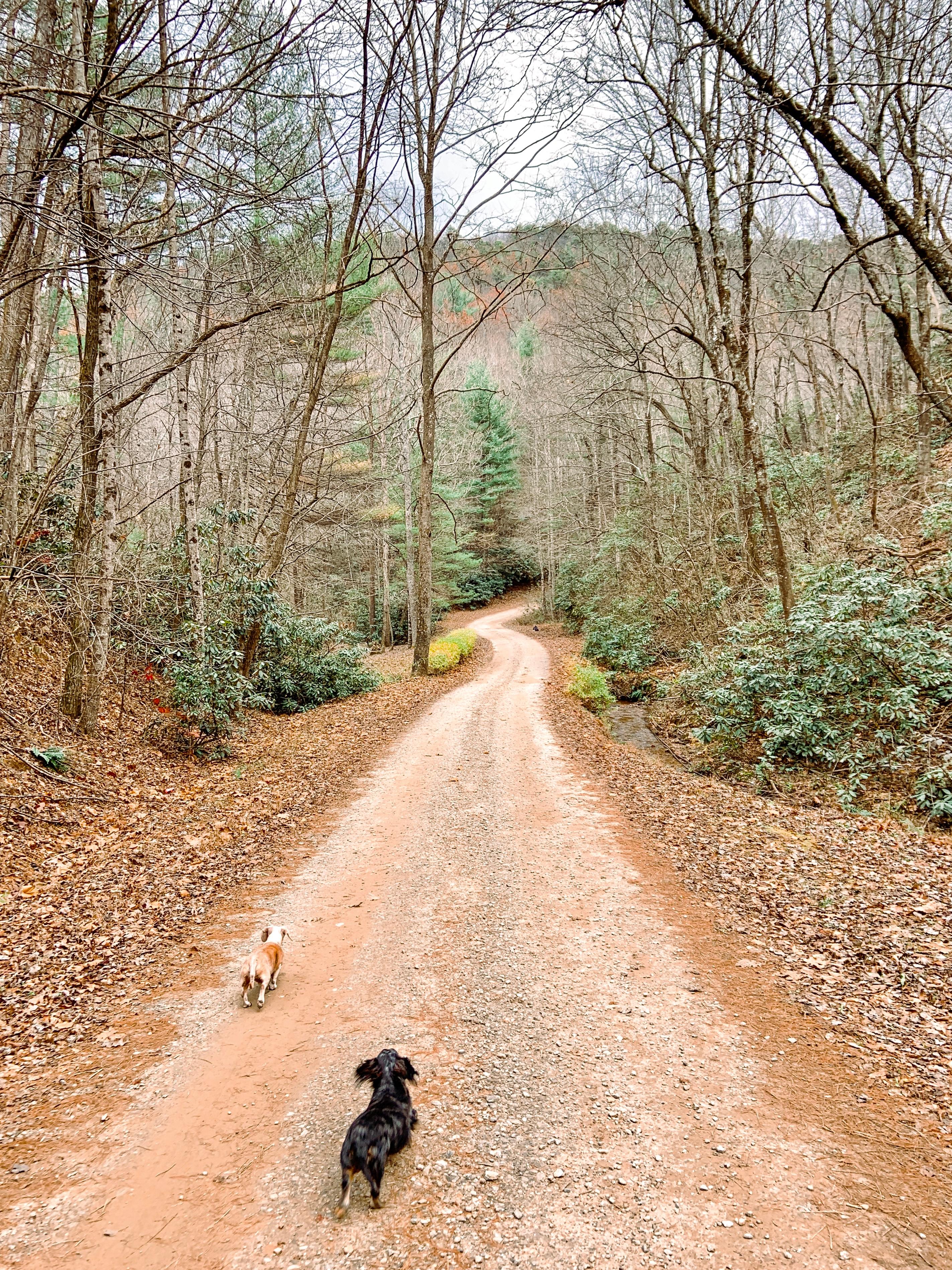 Bull Mountain Campground