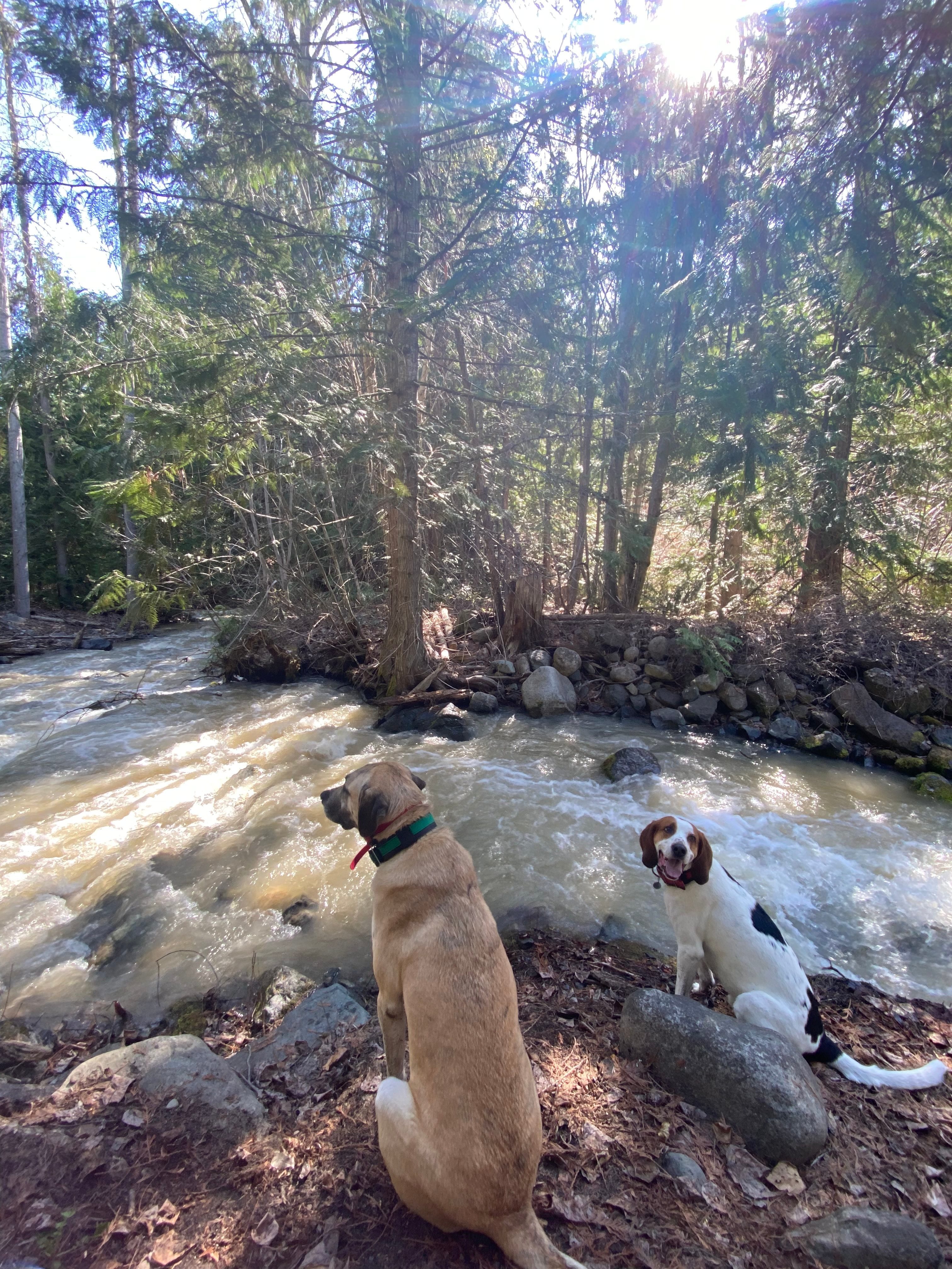 Carlton Trail Hound Campsite+Trails