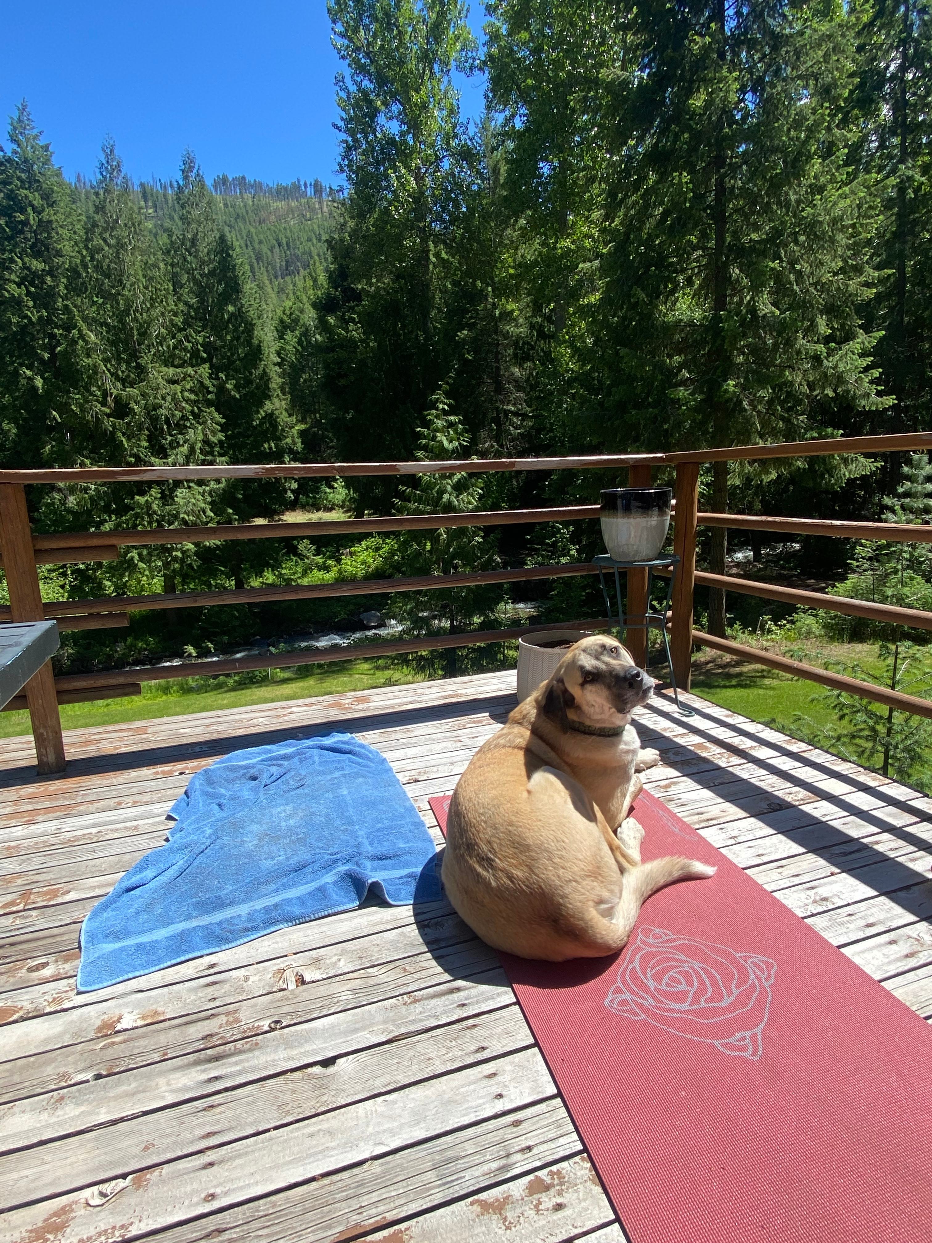 Carlton Trail Hound Campsite+Trails