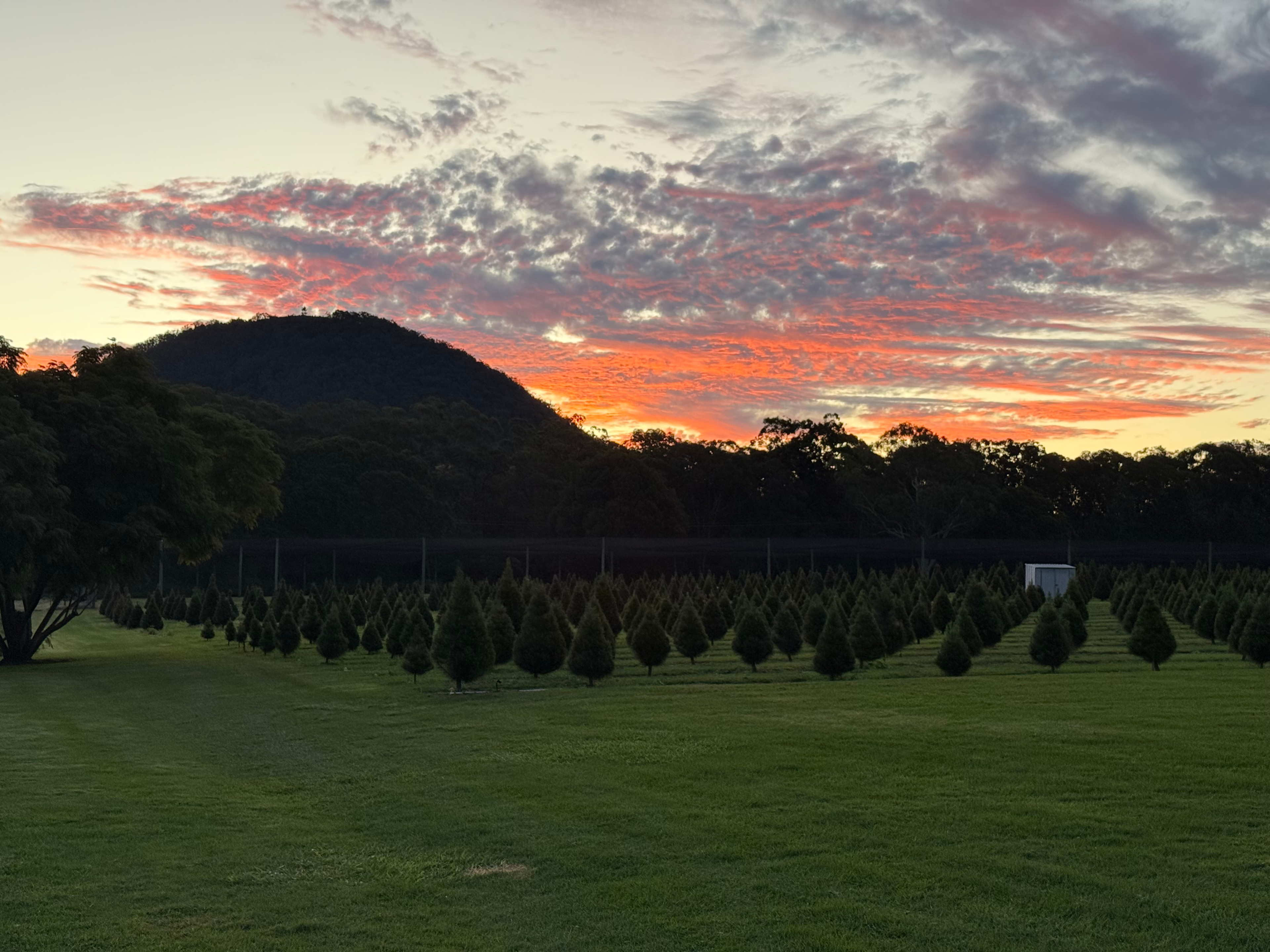 Mountain Country Farm Stay