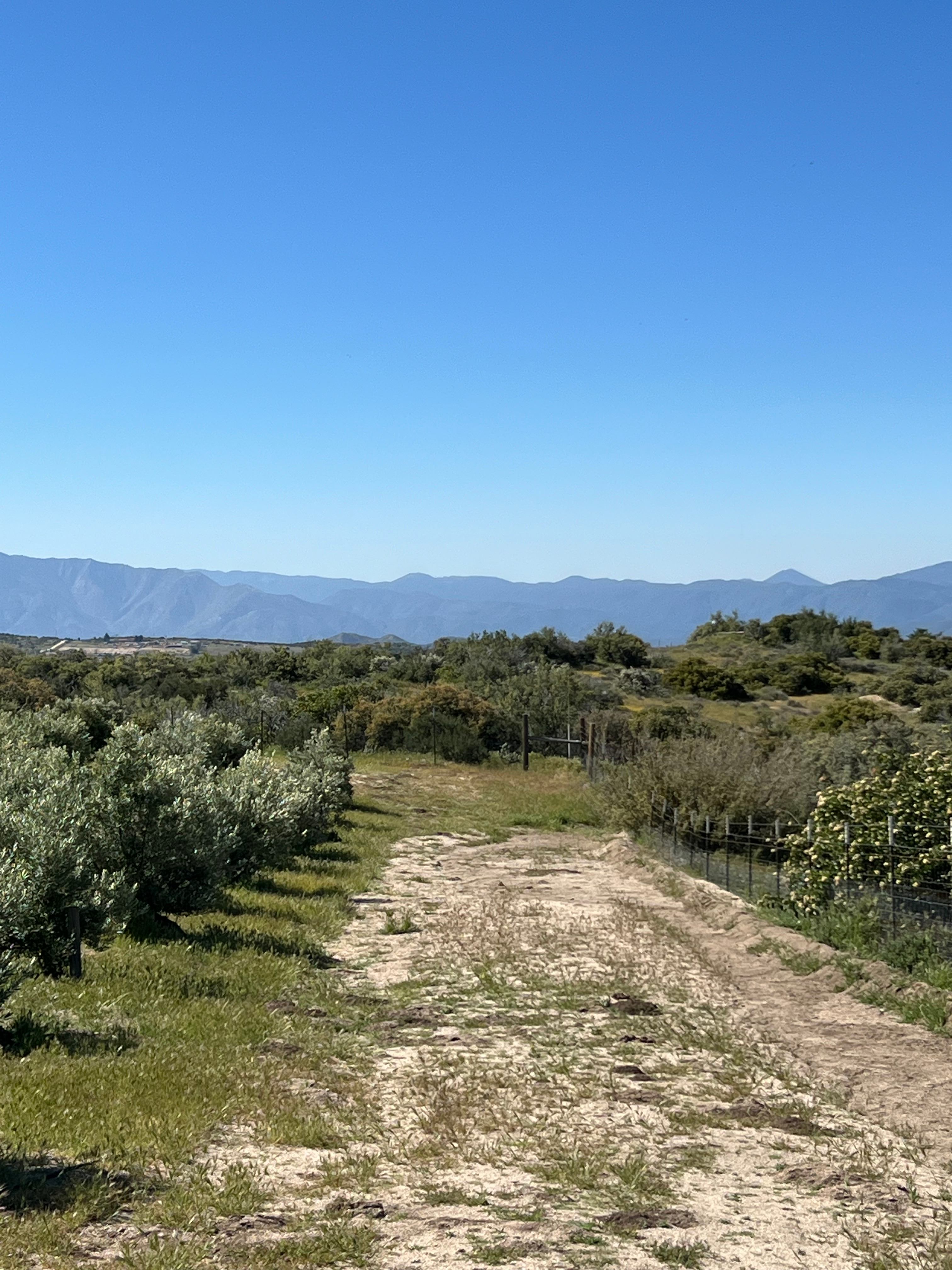 Private 5 Acre Olive Grove Hideaway