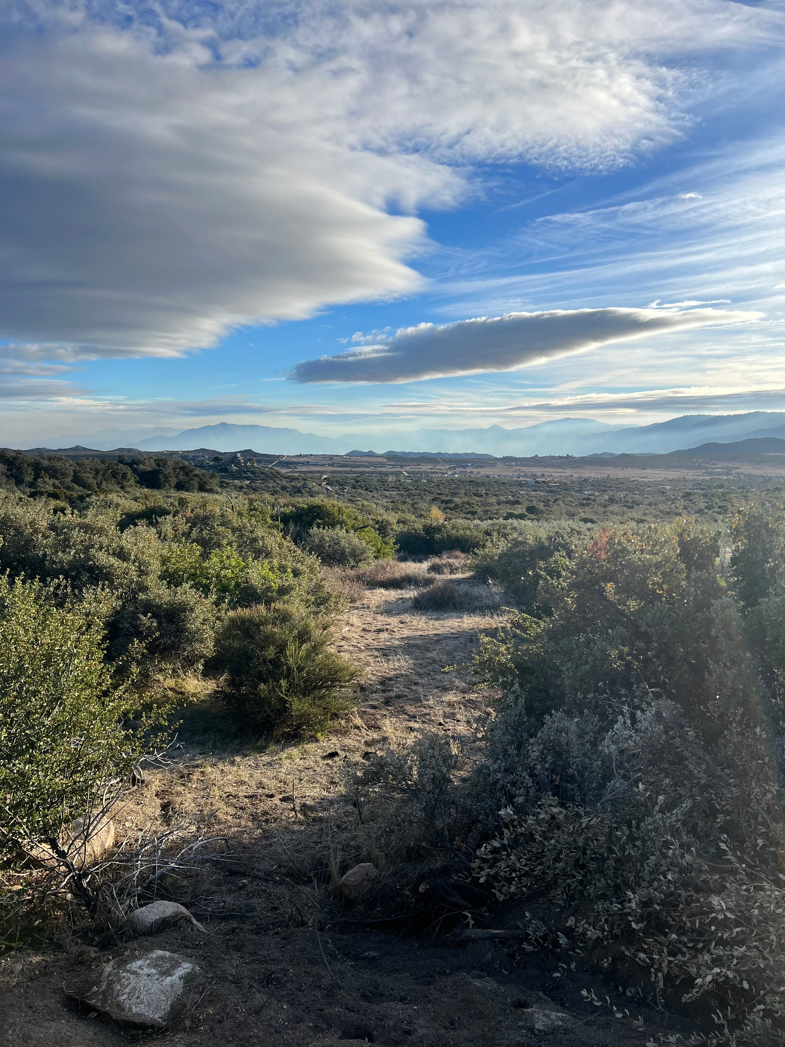Private 5 Acre Olive Grove Hideaway